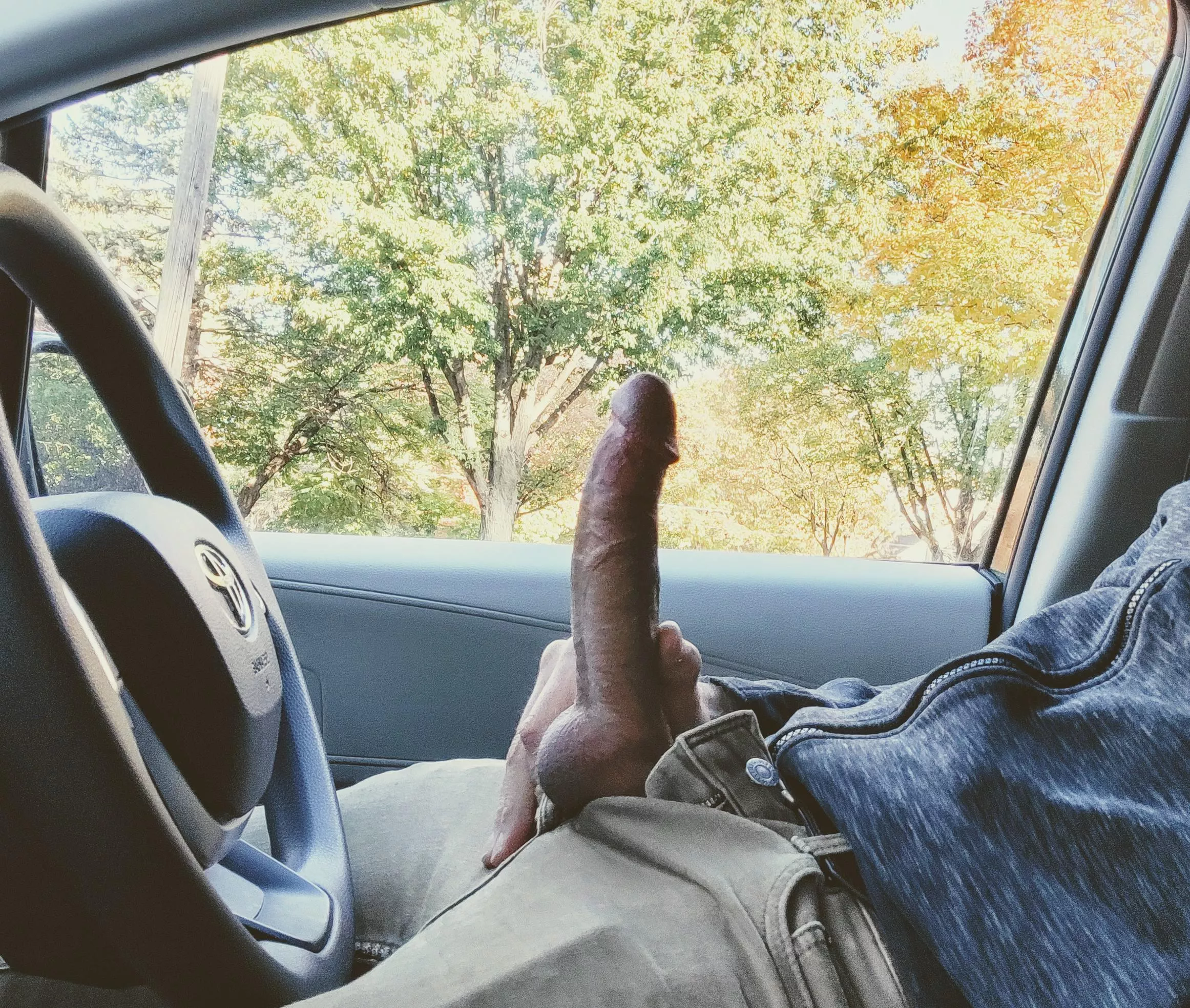 Waiting for you to pop your head through the window. [40] posted by mnlumberjacker