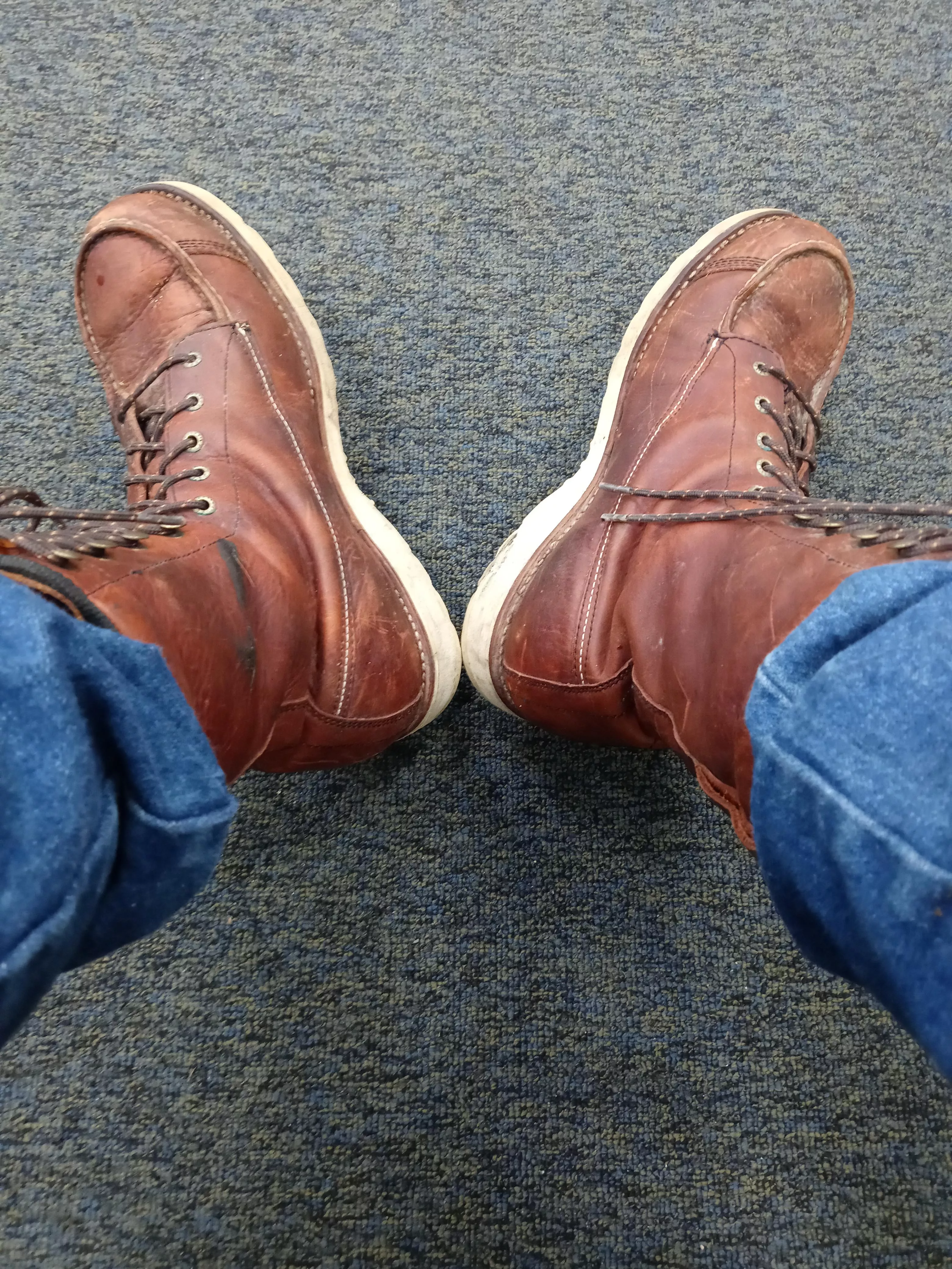 Waiting my turn at a Maine dept of motor vehicles office. Got my Irish setters on today. I don't think they make this color anymore. posted by realtorKen