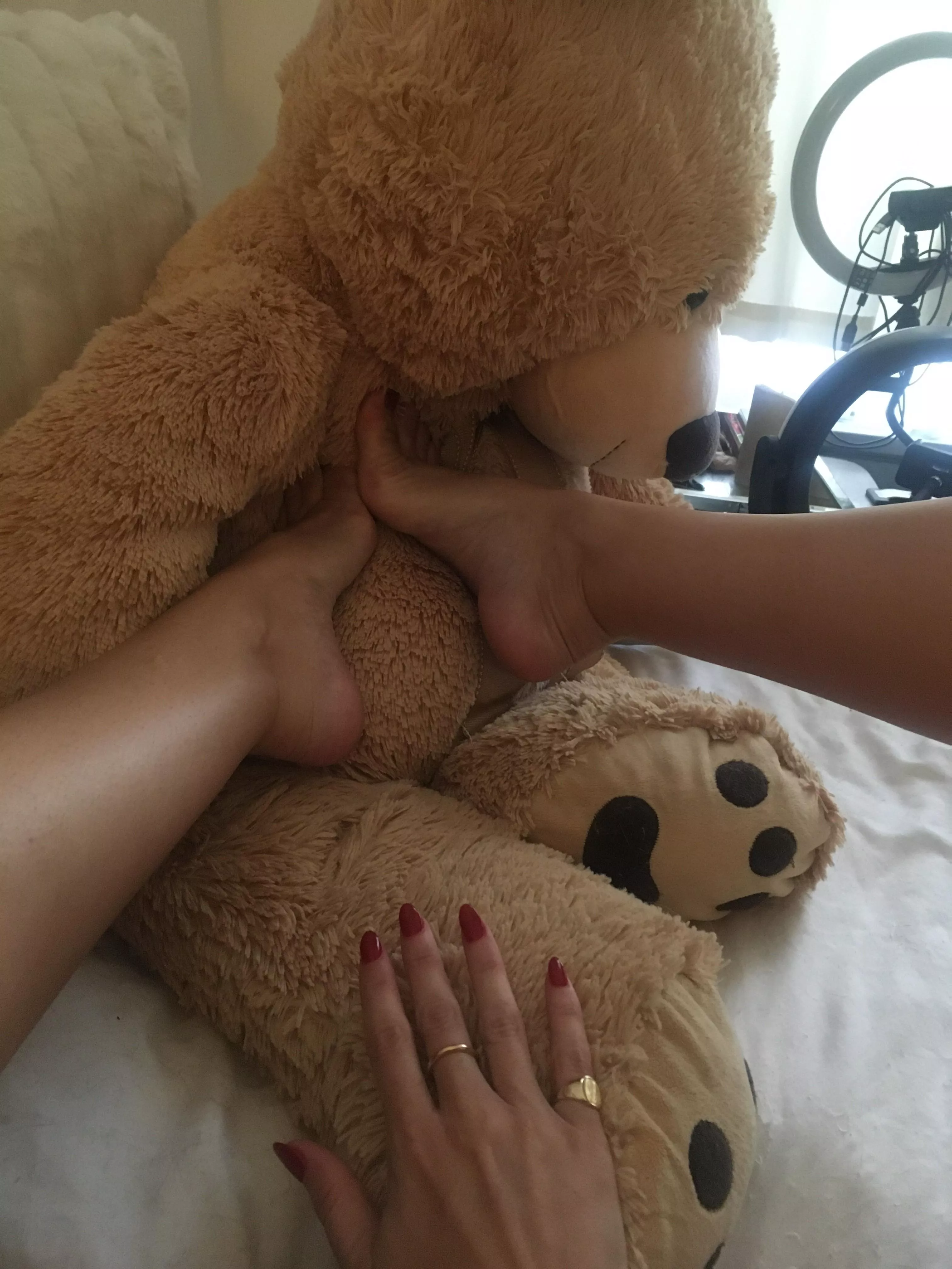 wanna be my teddy? posted by lisaelizabethgold_of