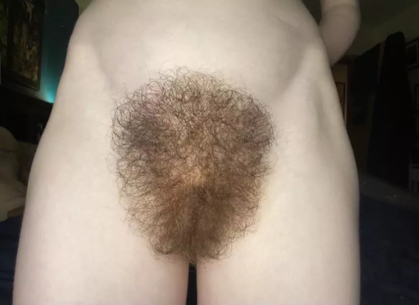 Wanna cum all over my bush?? posted by Many-Aioli688