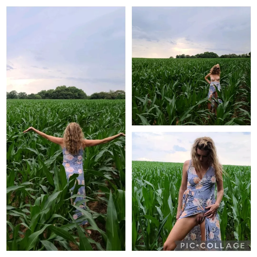 Wanna cum play in my corn field? posted by picklexpoison