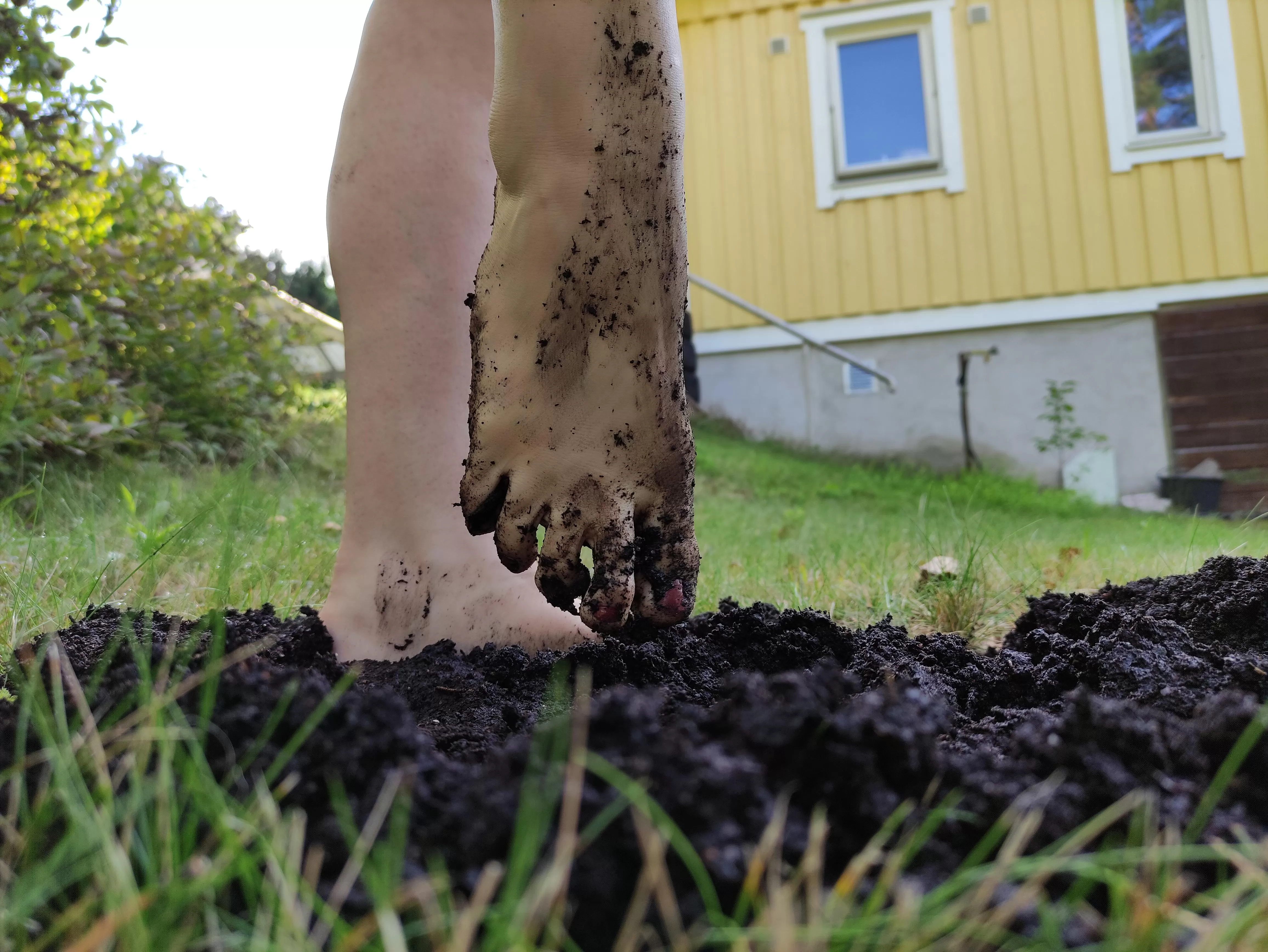 Wanna play in the dirt with me? posted by sploshish