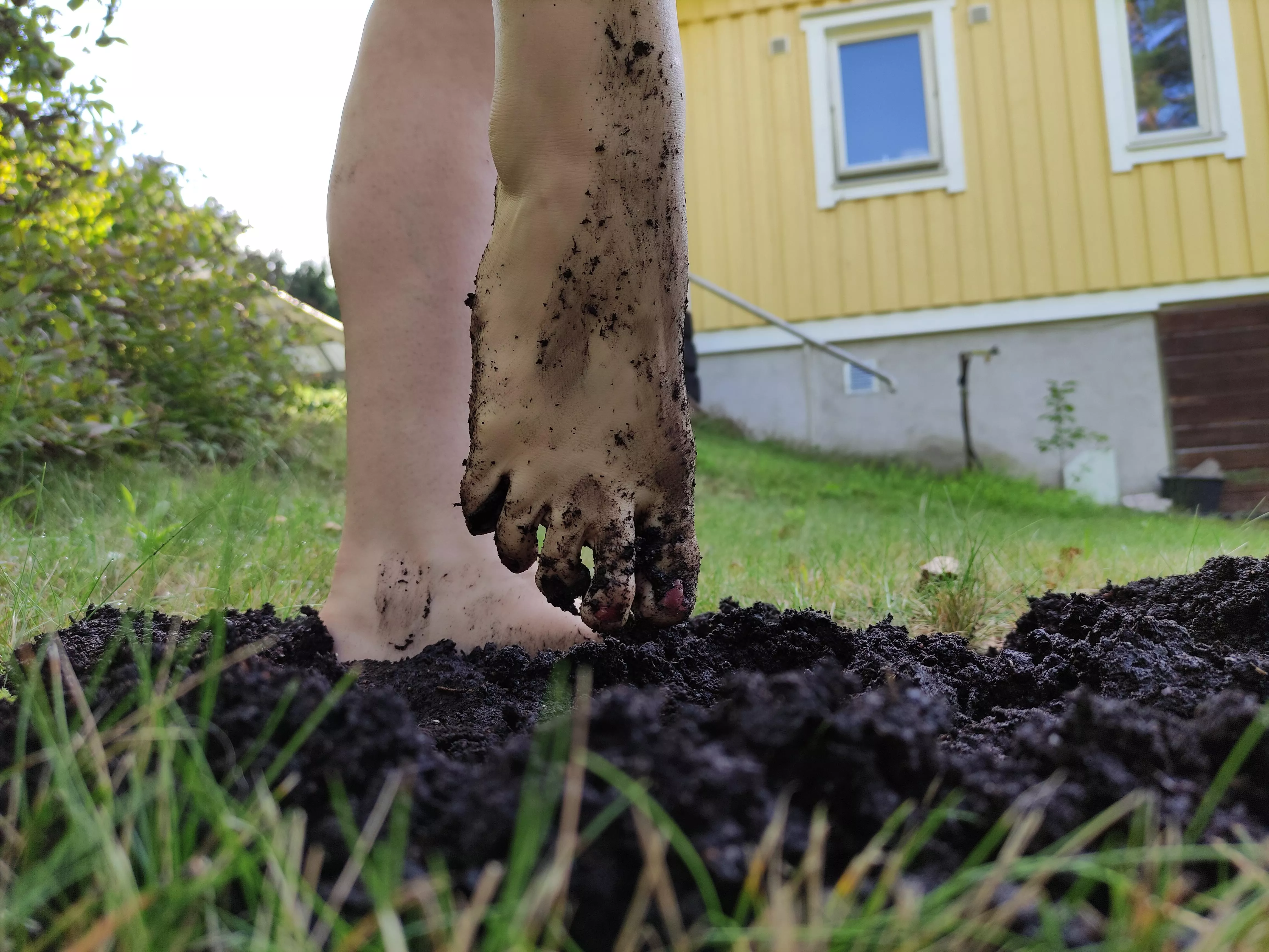 Wanna play in the dirt with me? posted by sploshish