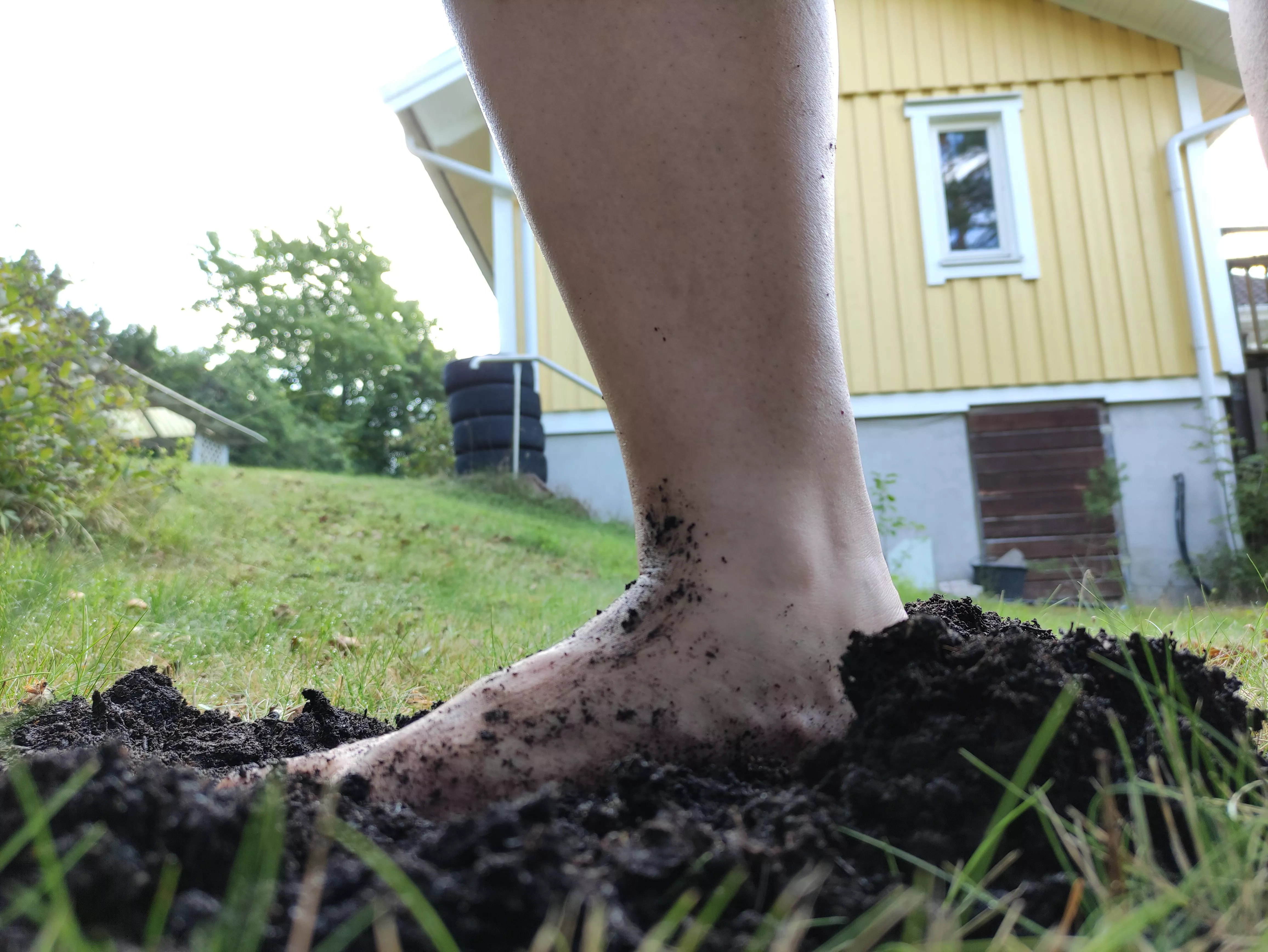 Wanna play in the dirt with me? posted by sploshish