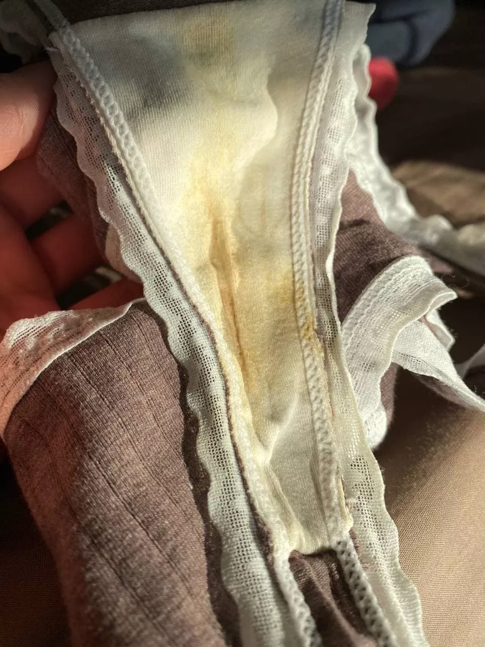 Wanna sniff my dirty thongs? [f] 25 yo posted by babushka0310