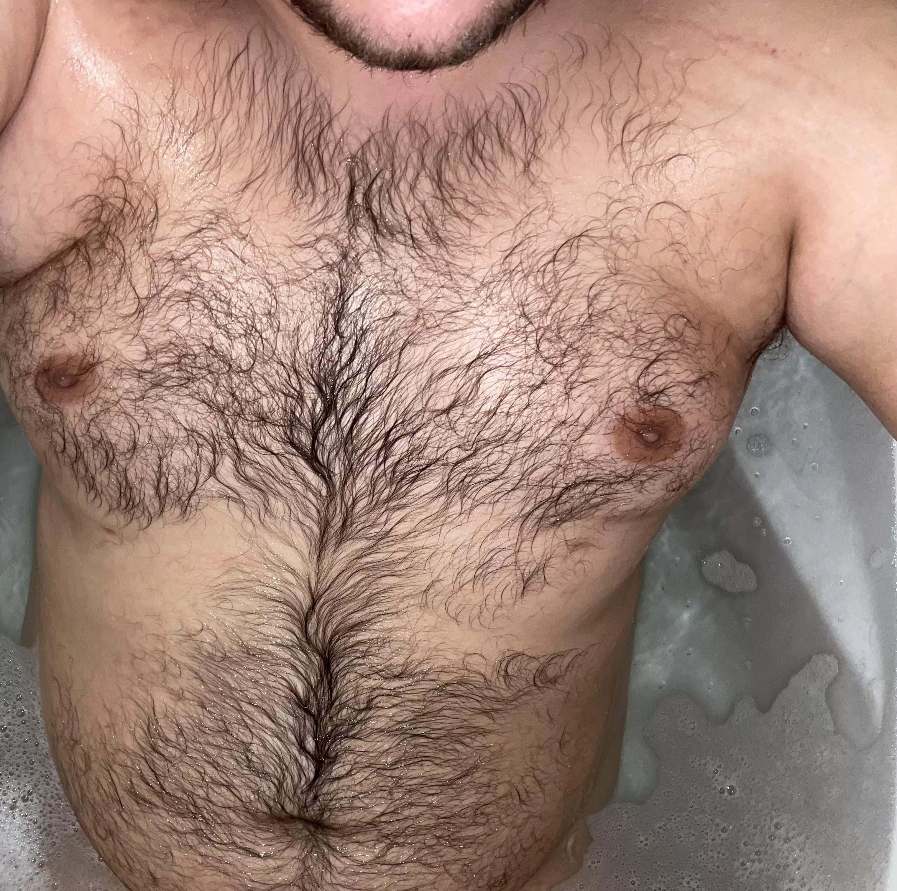 Want to follow the happy trail? posted by Hairbair12