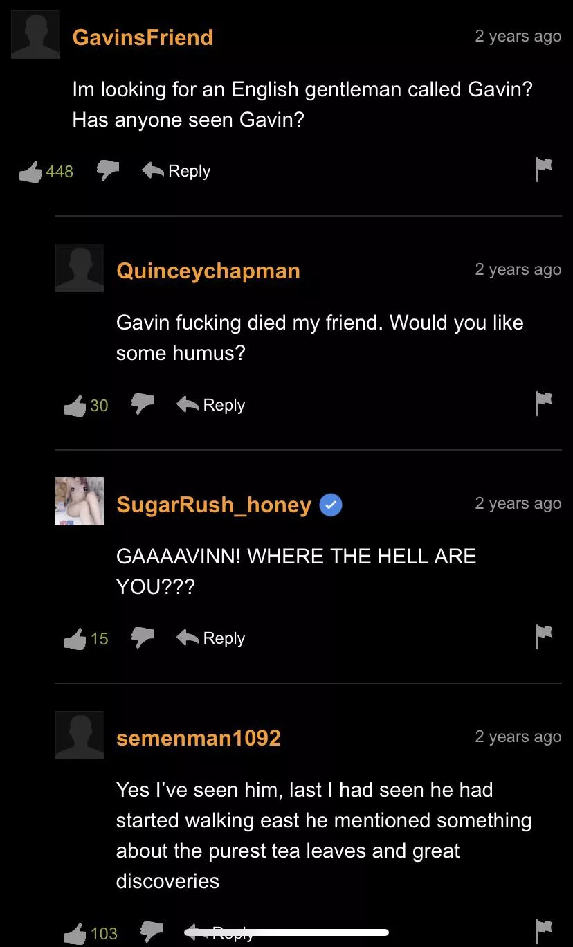 We all must pool our resources to find Gavin!!! posted by Flaky_Pickle