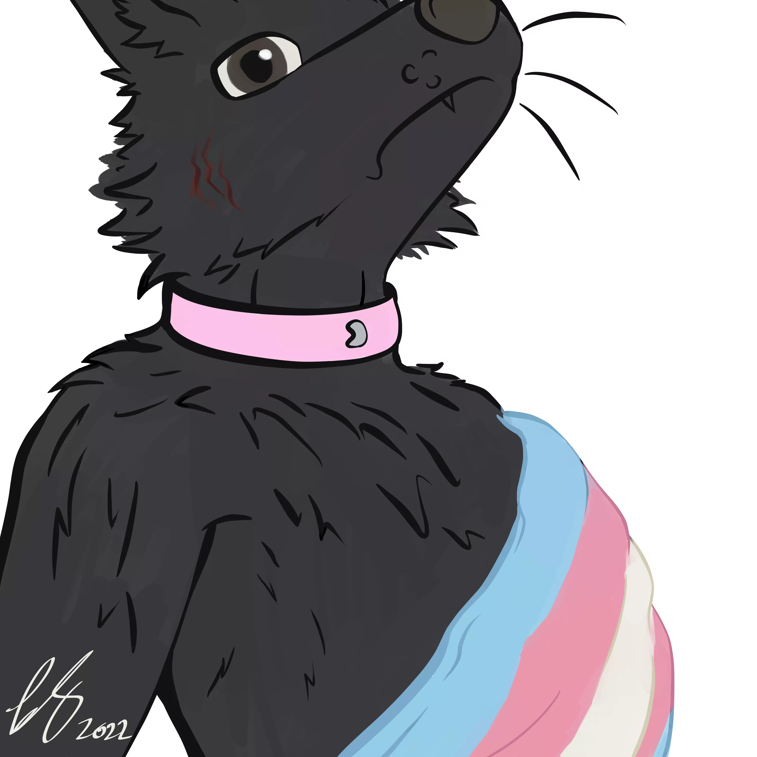 Wear it proud posted by FurrySoren