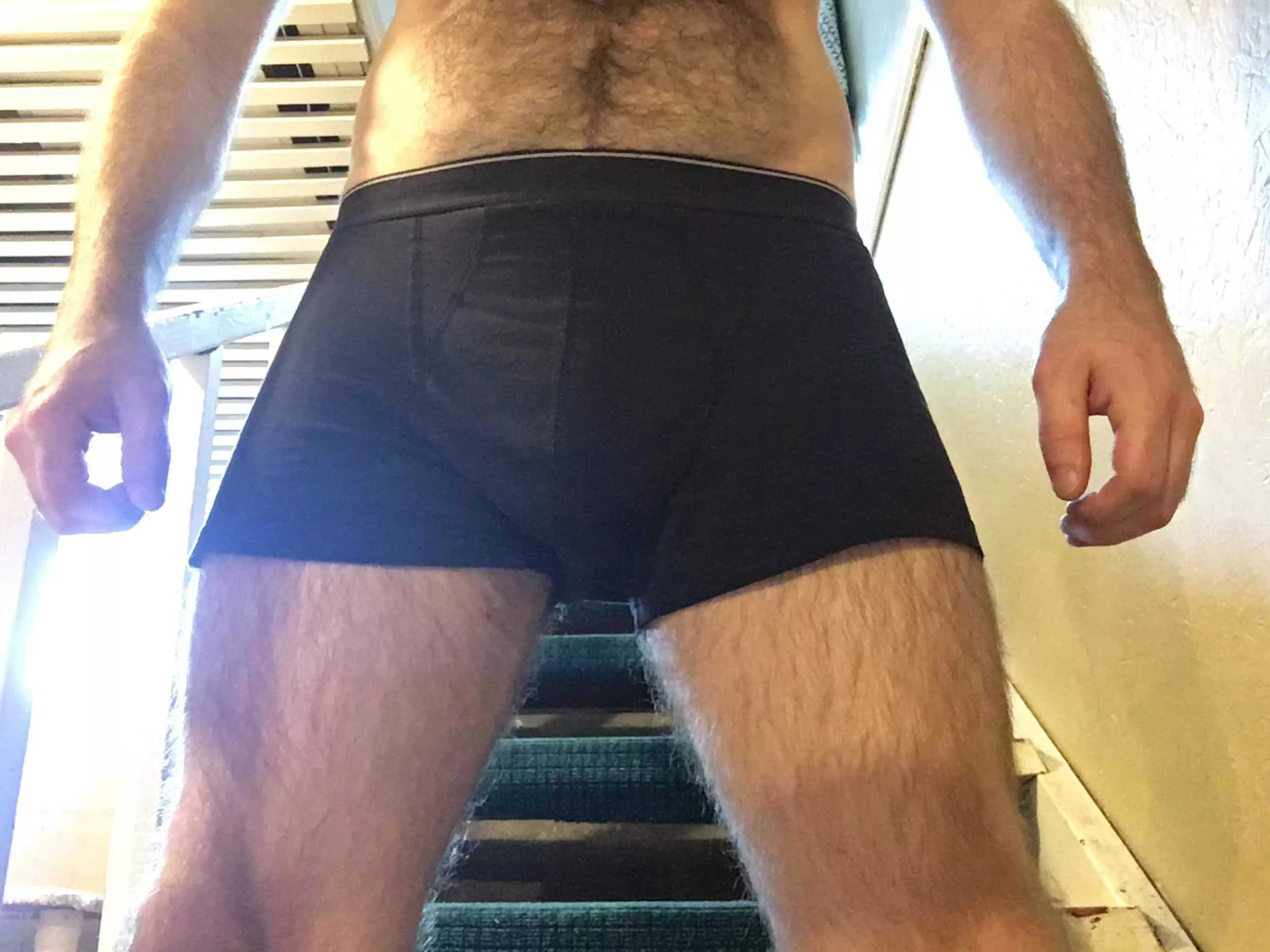 Well hung hairy Irish man here who wants to see what I’m packing? posted by wellhungbiirish