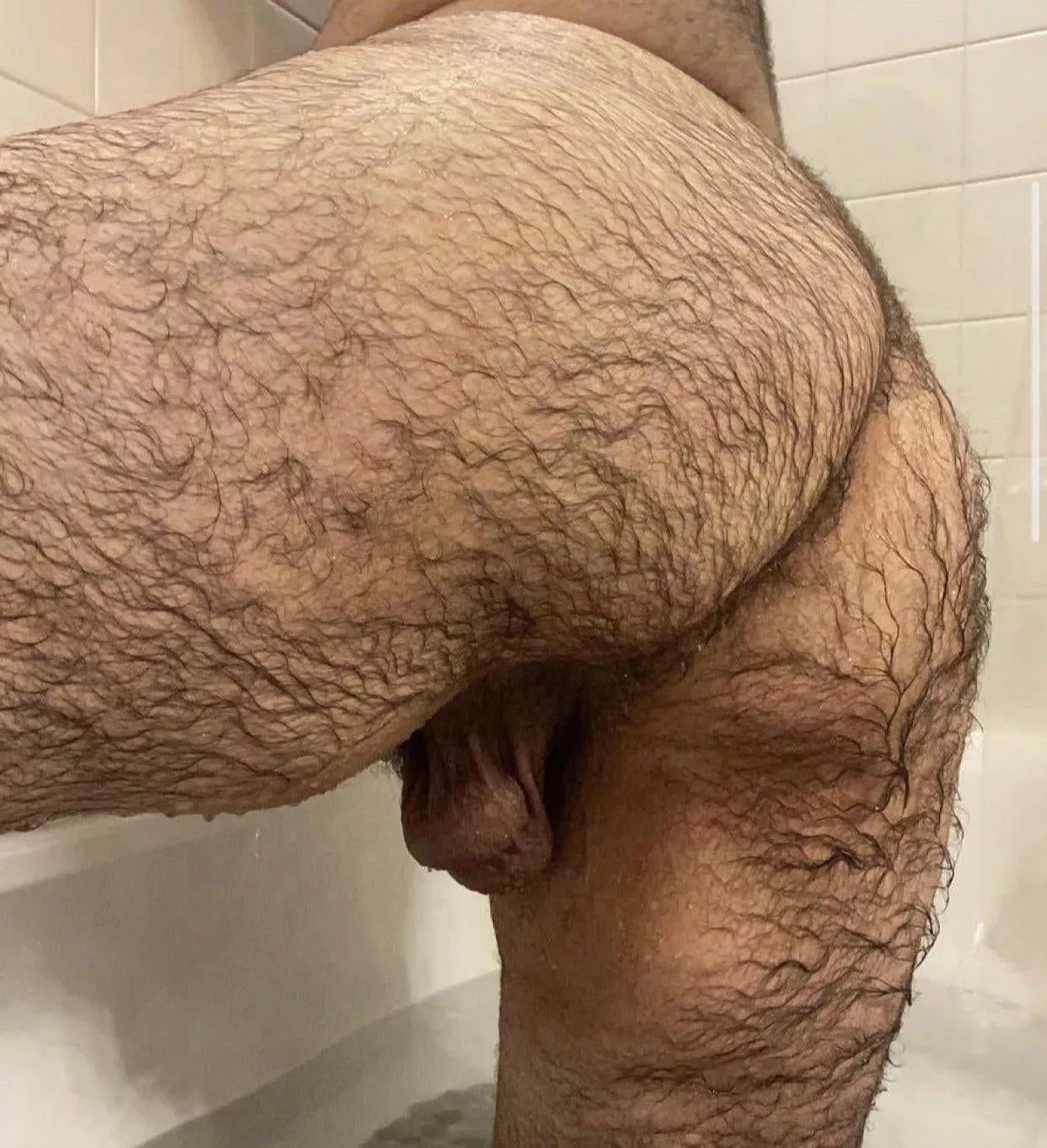 Wet and Hairy posted by dudjfn