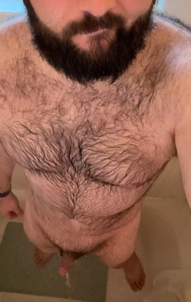 Wet bear posted by person77277