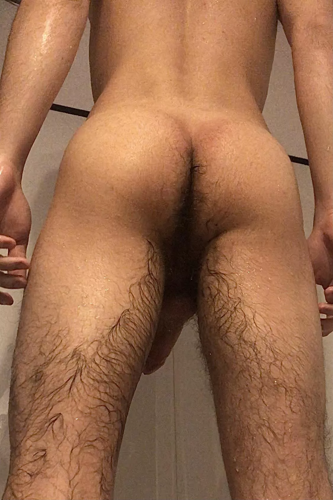 What about hairy asses? [21] posted by YourBroKali