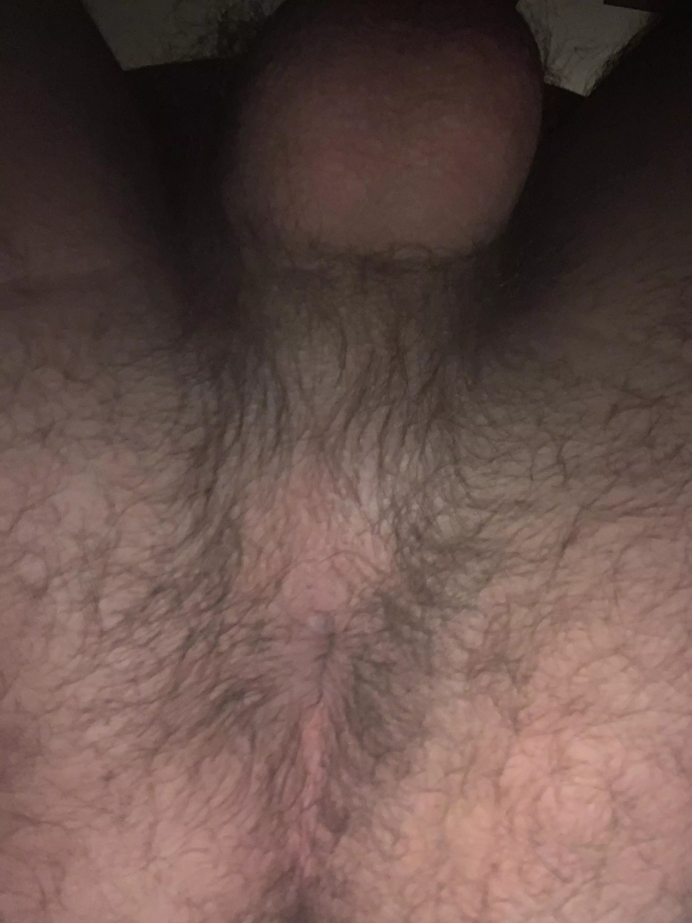 What do you guys think? Should I shave or nah? posted by ComprehensiveGas5340