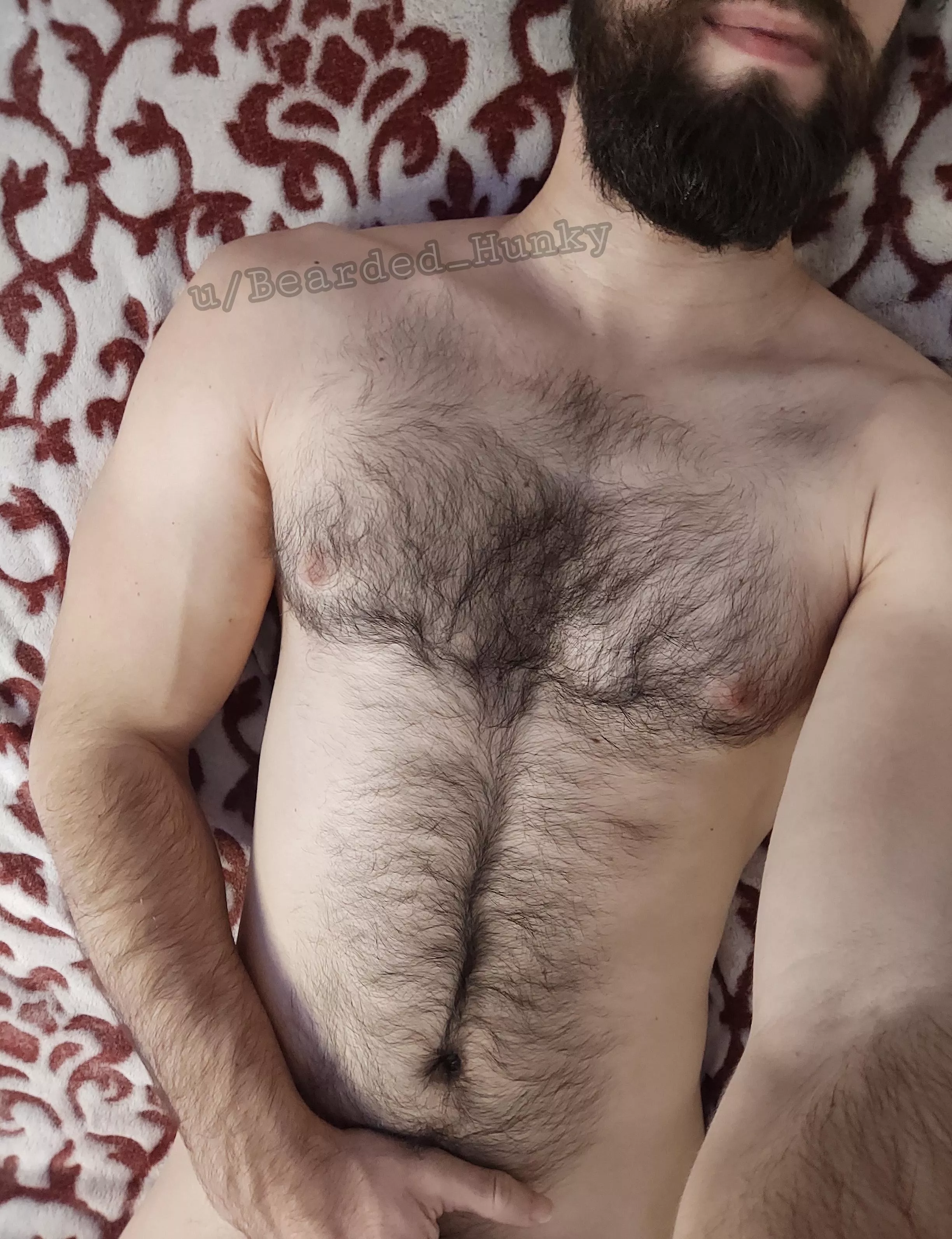 What do you think about my chest hair? posted by Bearded_Hunky