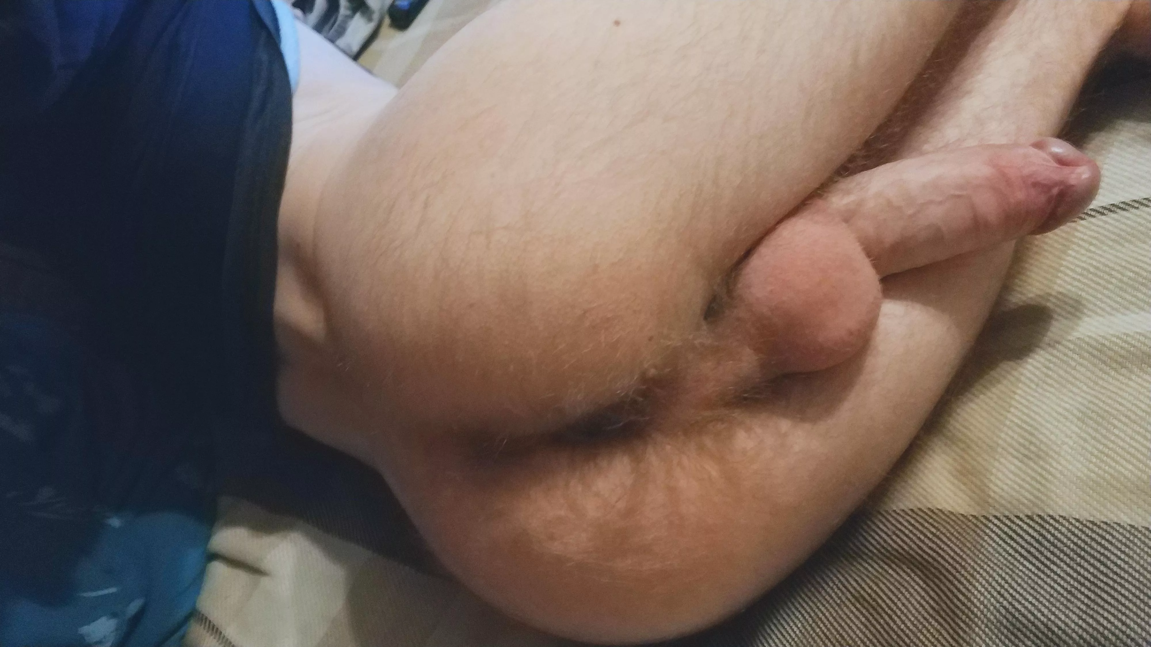 What do you think about my hairy butt? posted by kascumzz