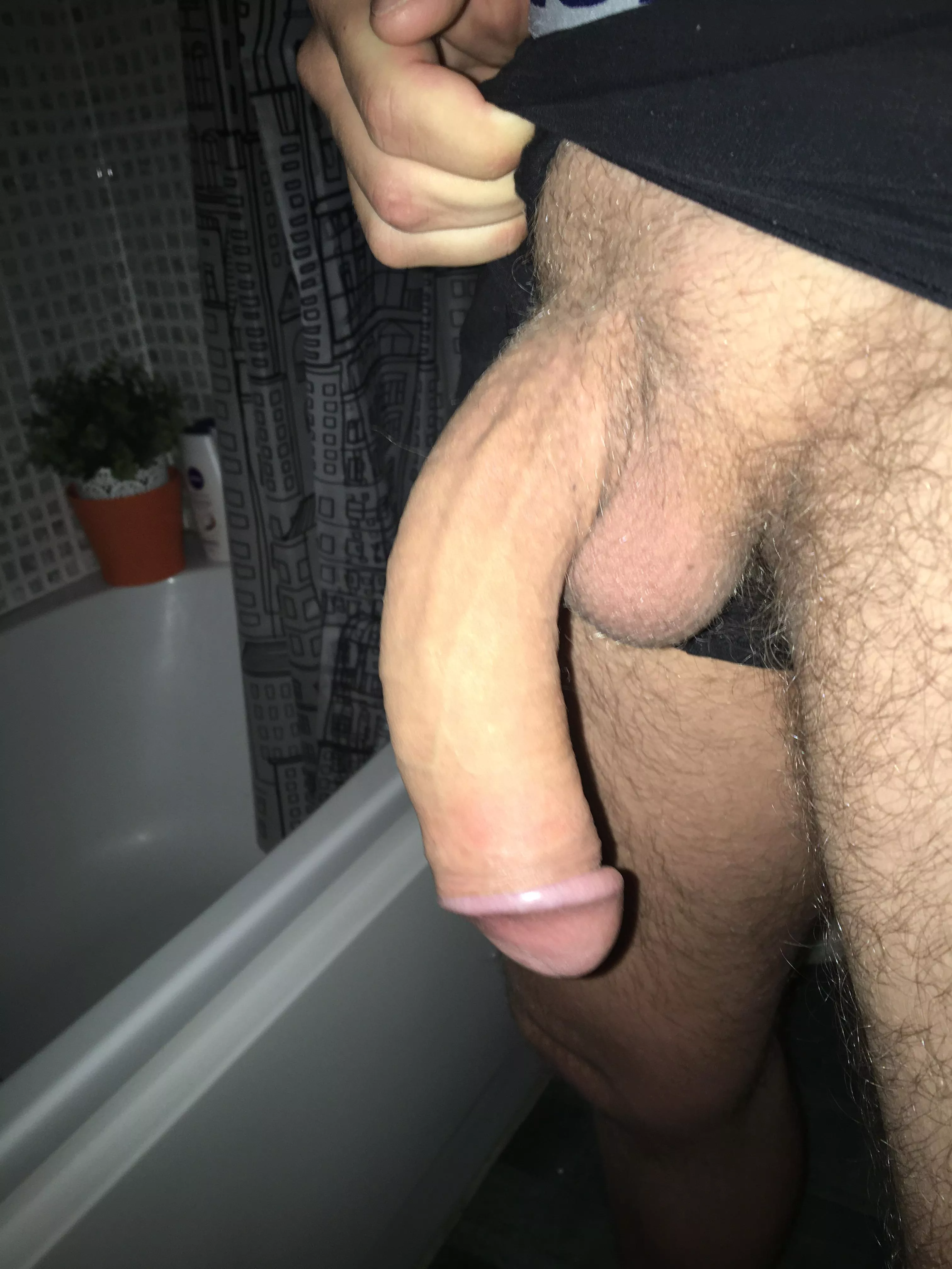 What do you think of my curve? posted by Straightchillguy5