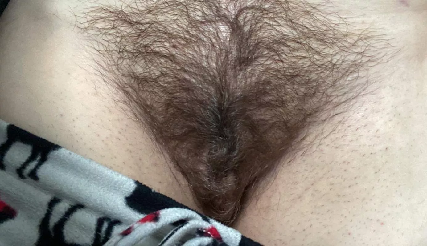 What do you think of my wife's bush? ;) posted by RhodokBear_