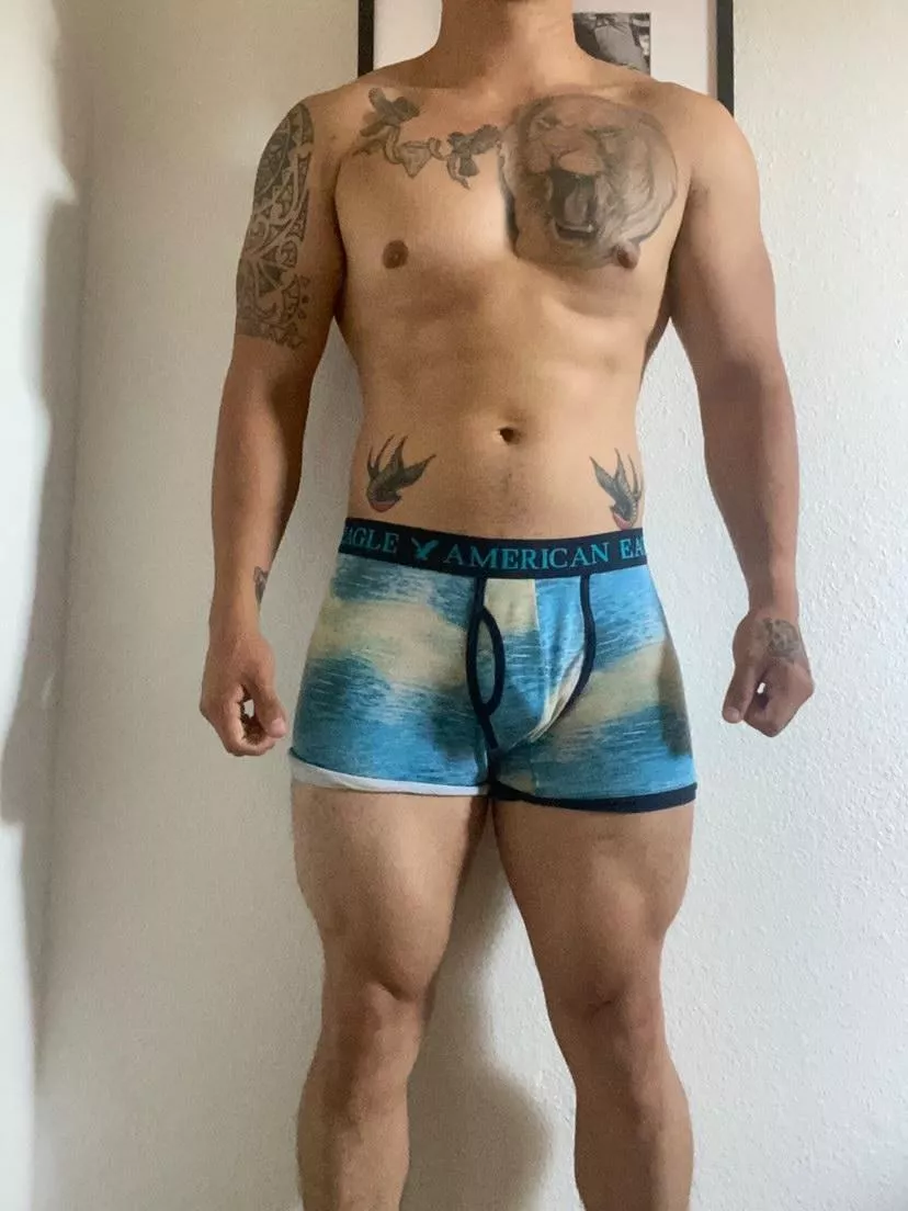 What kind of boxers do you want to see me in next?? posted by PandaStr0ng