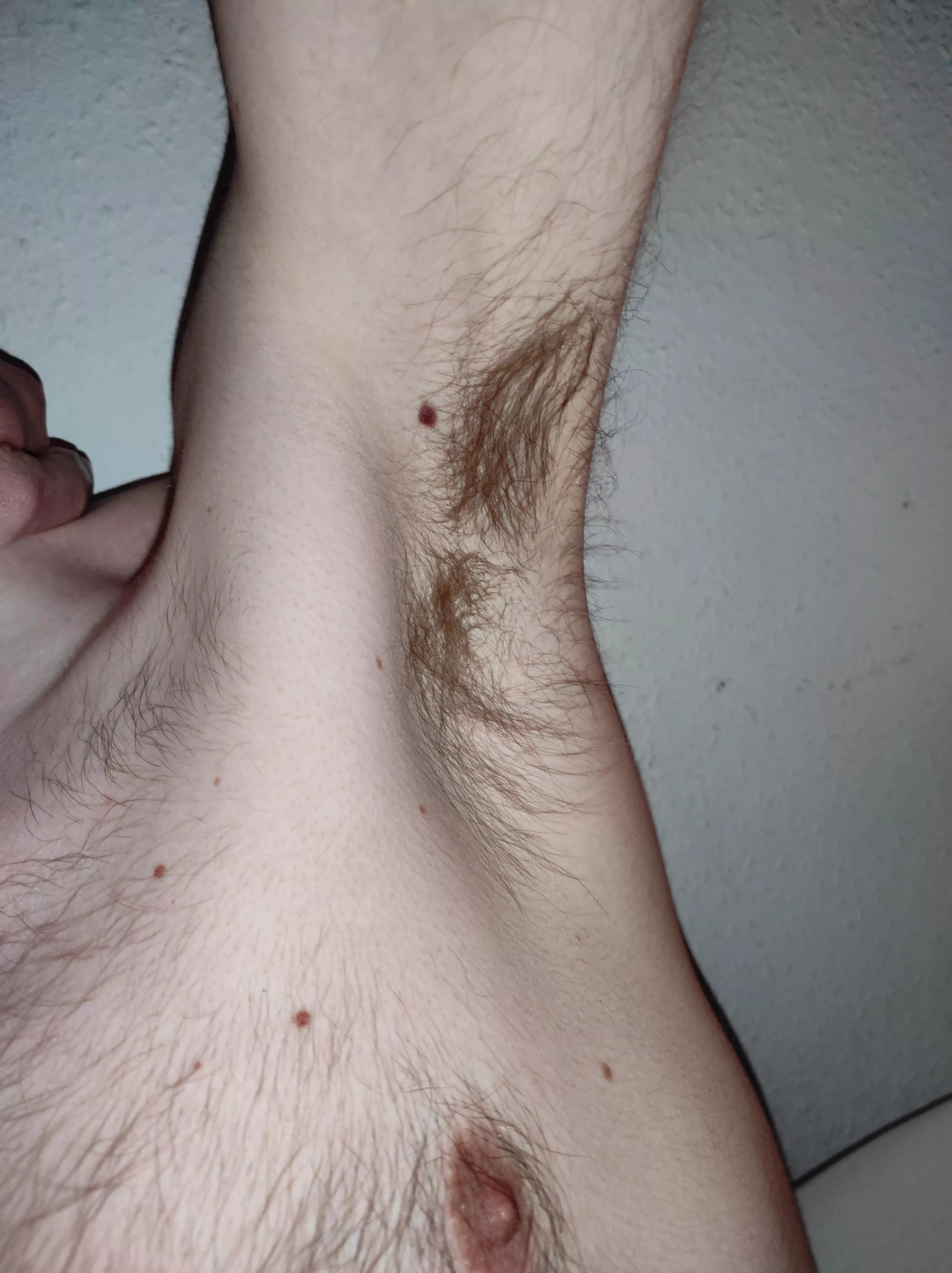 What would you do to my hairy armpits? Lick them or sniff them? posted by TheMoonSwimmer