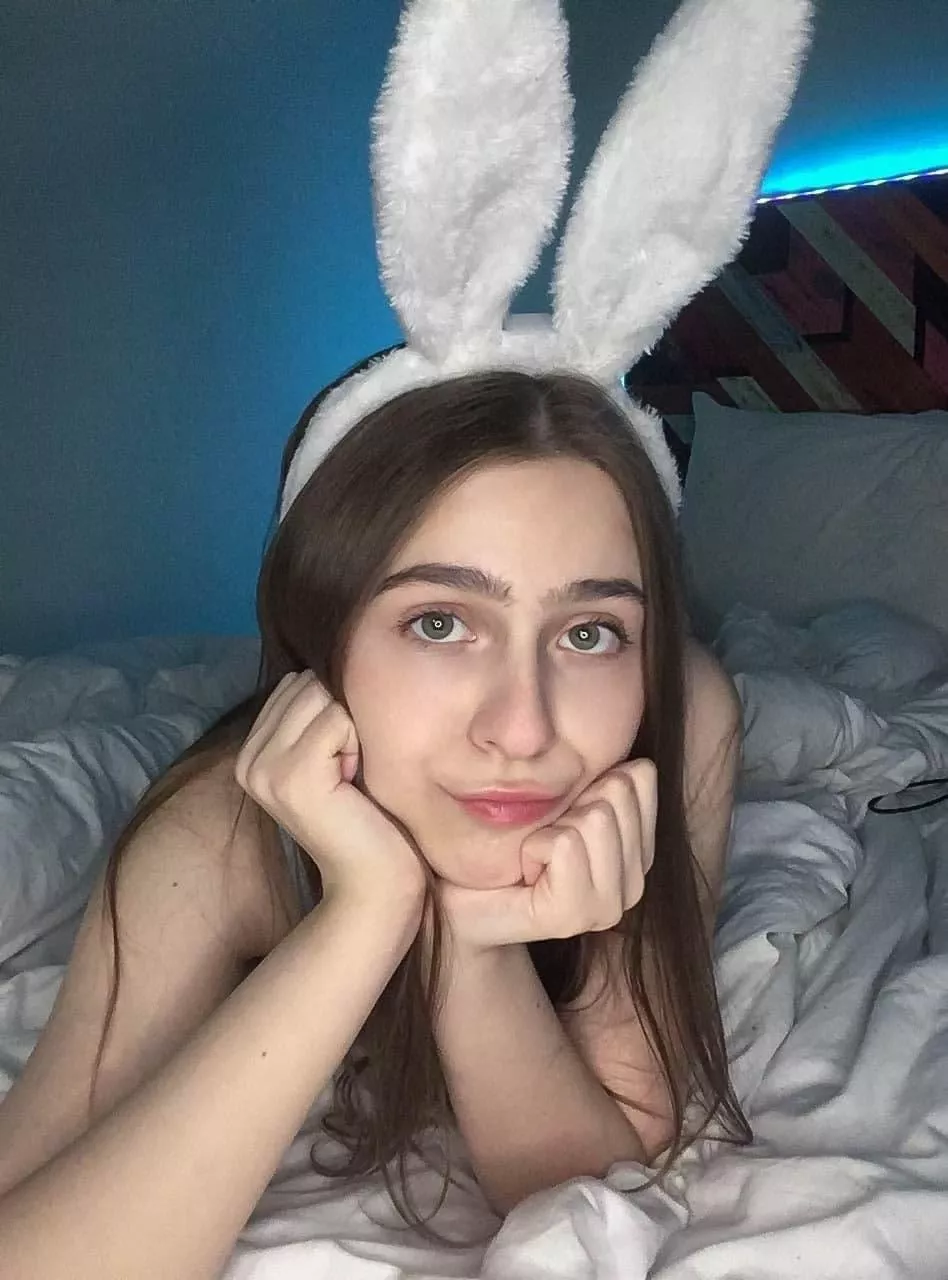 What would you do with a cute bunny? posted by strawberrythemouth