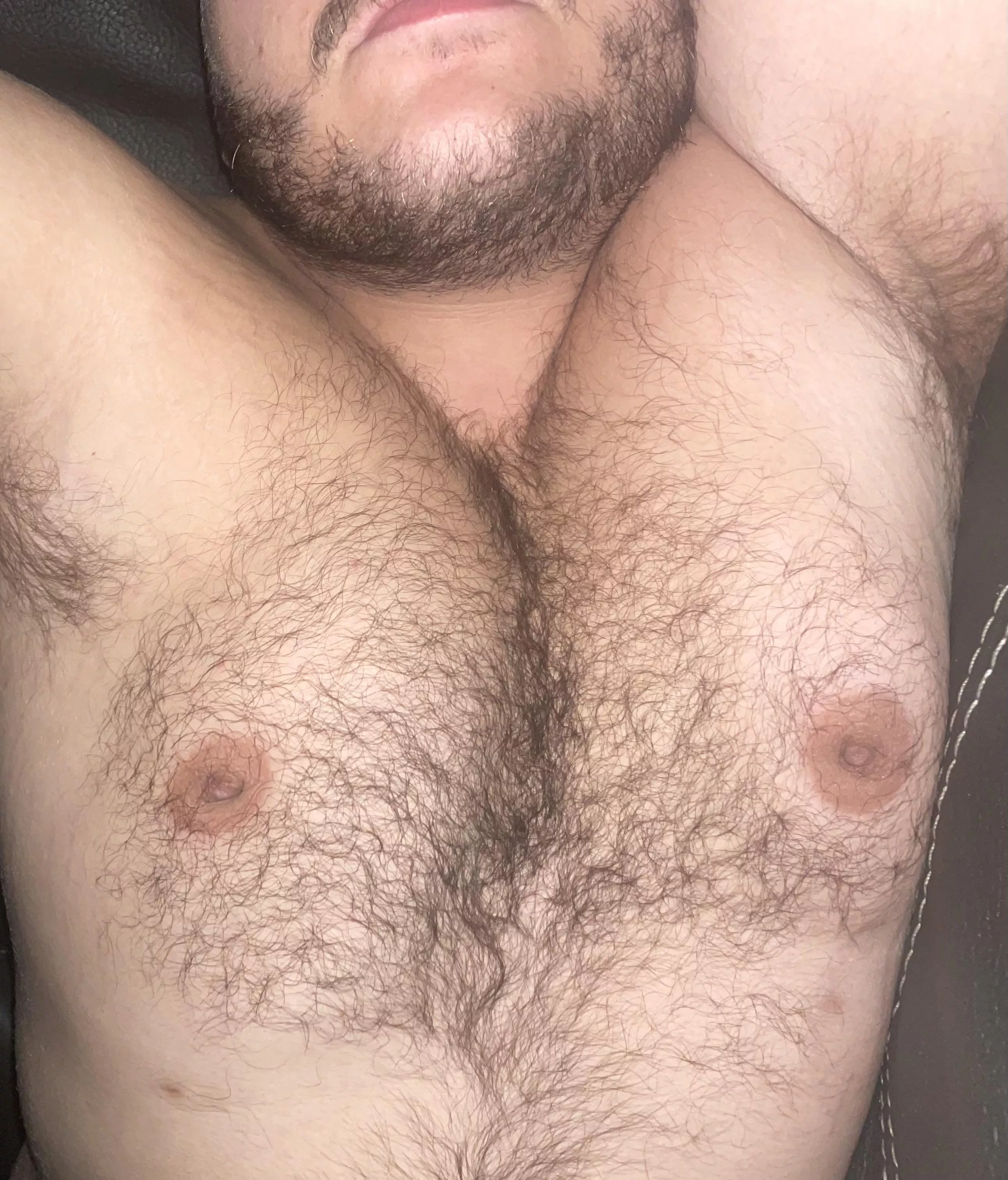 What would you rate my chest hair? posted by Hairbair12