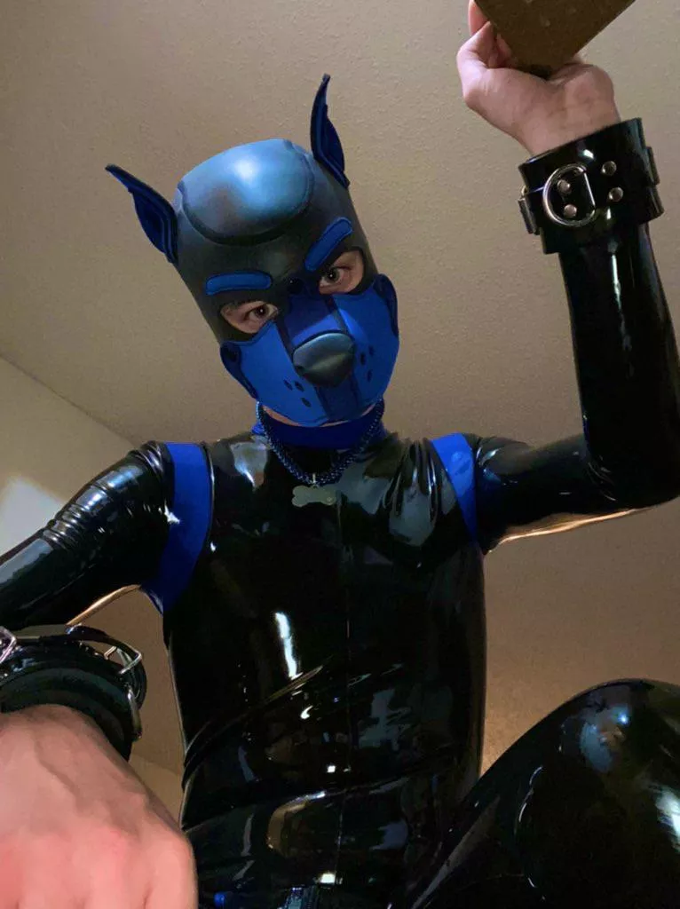 What’re you doing down there silly? Get up and play with me! posted by kinkyboy3