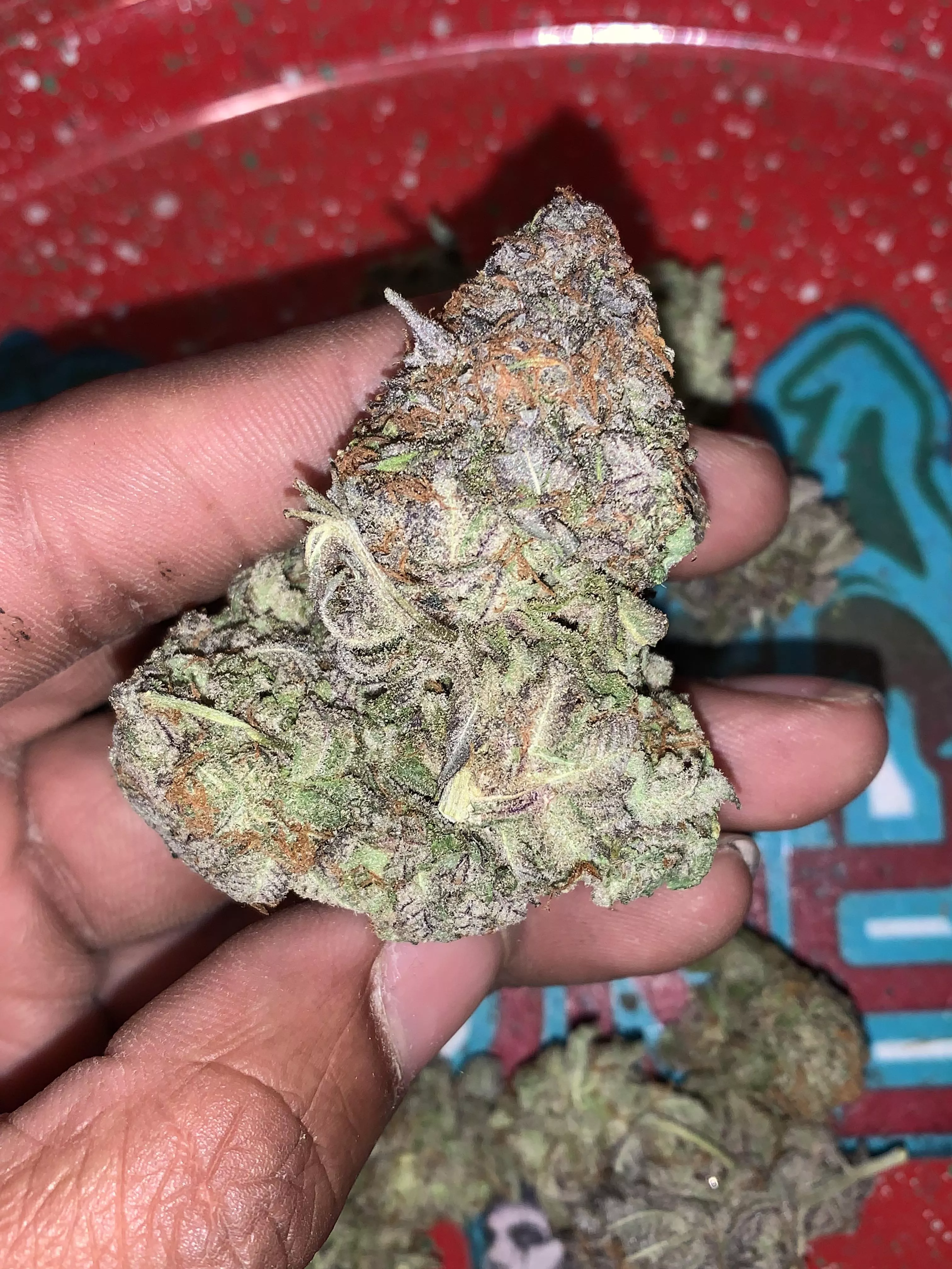 What’s everyone smoking on this Sunday funday? Strain: X-13 (M) posted by Positive_Vibez6