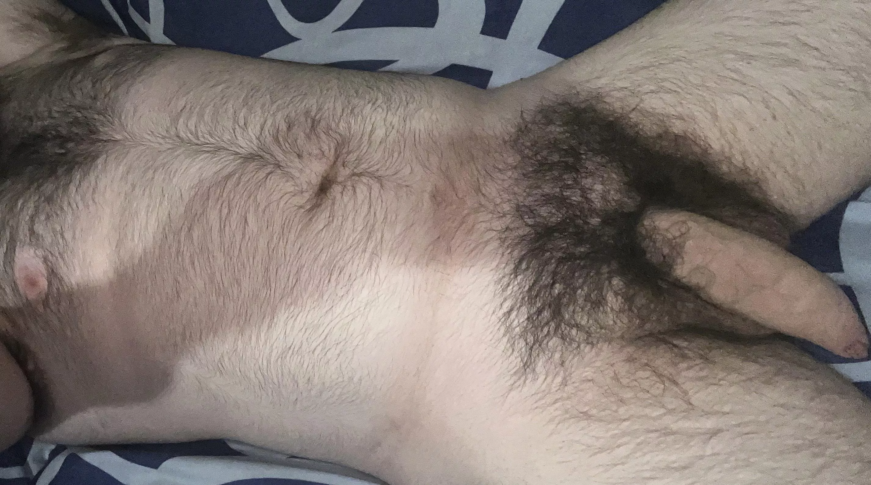 What’s up boys? Wanna suck this hairy cock? posted by AaronNotOkay