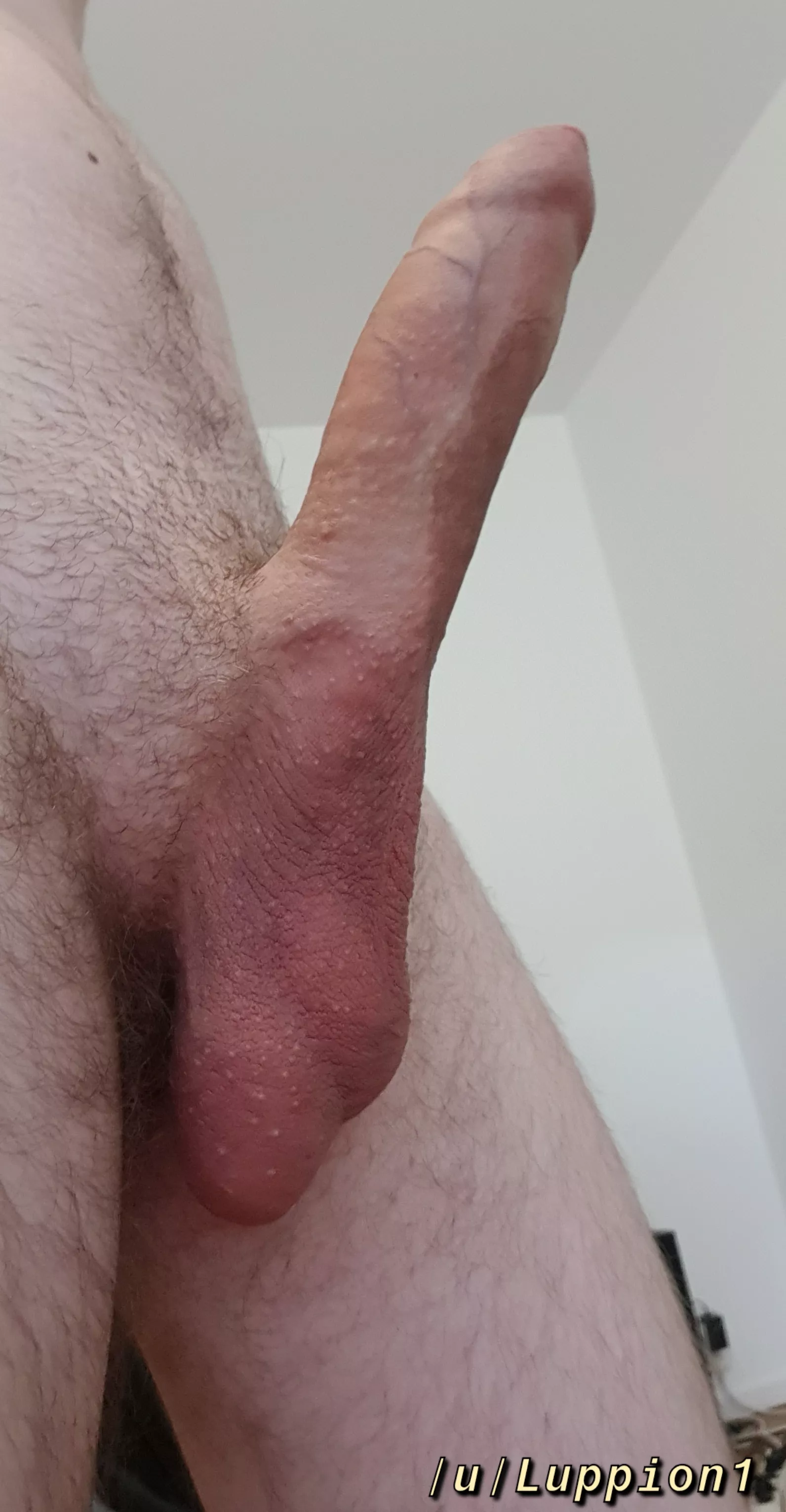 What's your favorite thing about my big cock? â¤ï¸ posted by luppion1