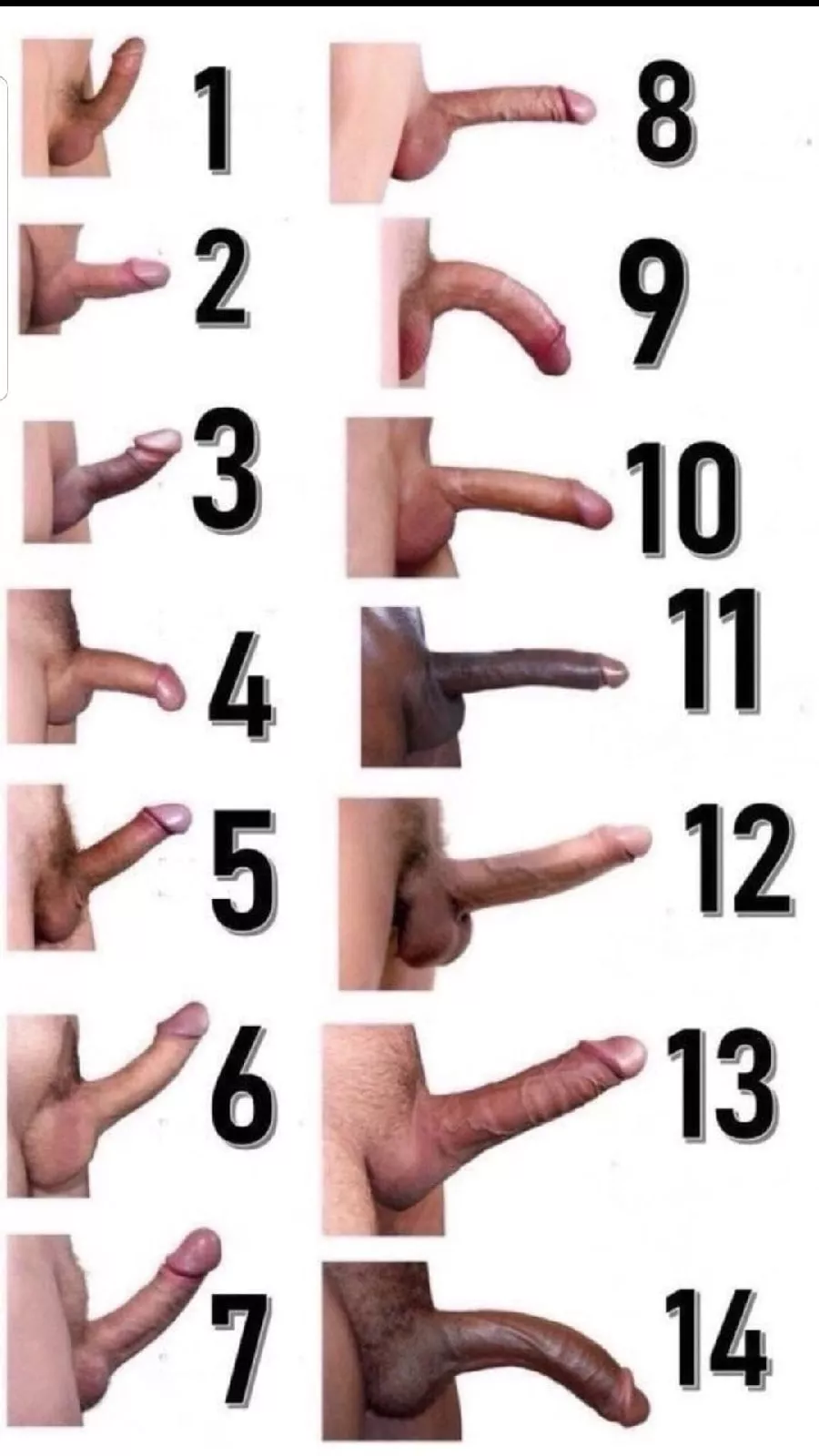 Which of them is your penis? I'm (2) posted by Tasty_Elk5628