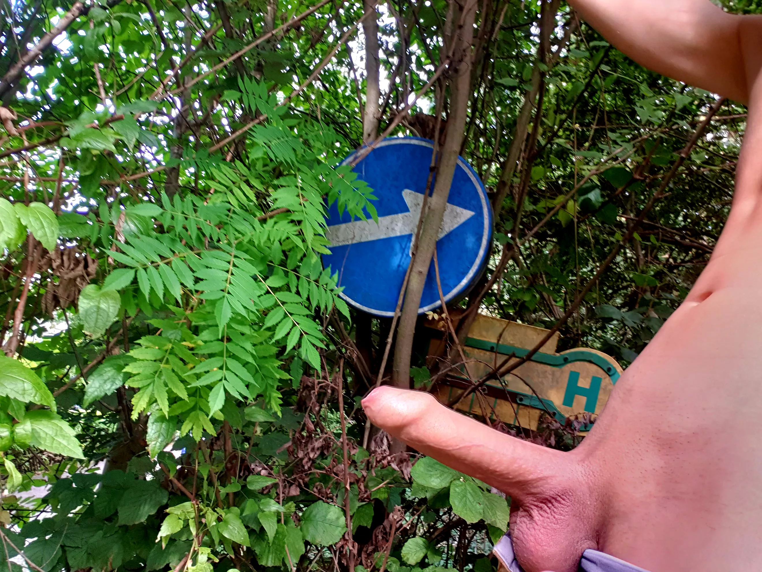 Which way? This way? posted by AGermanFellow