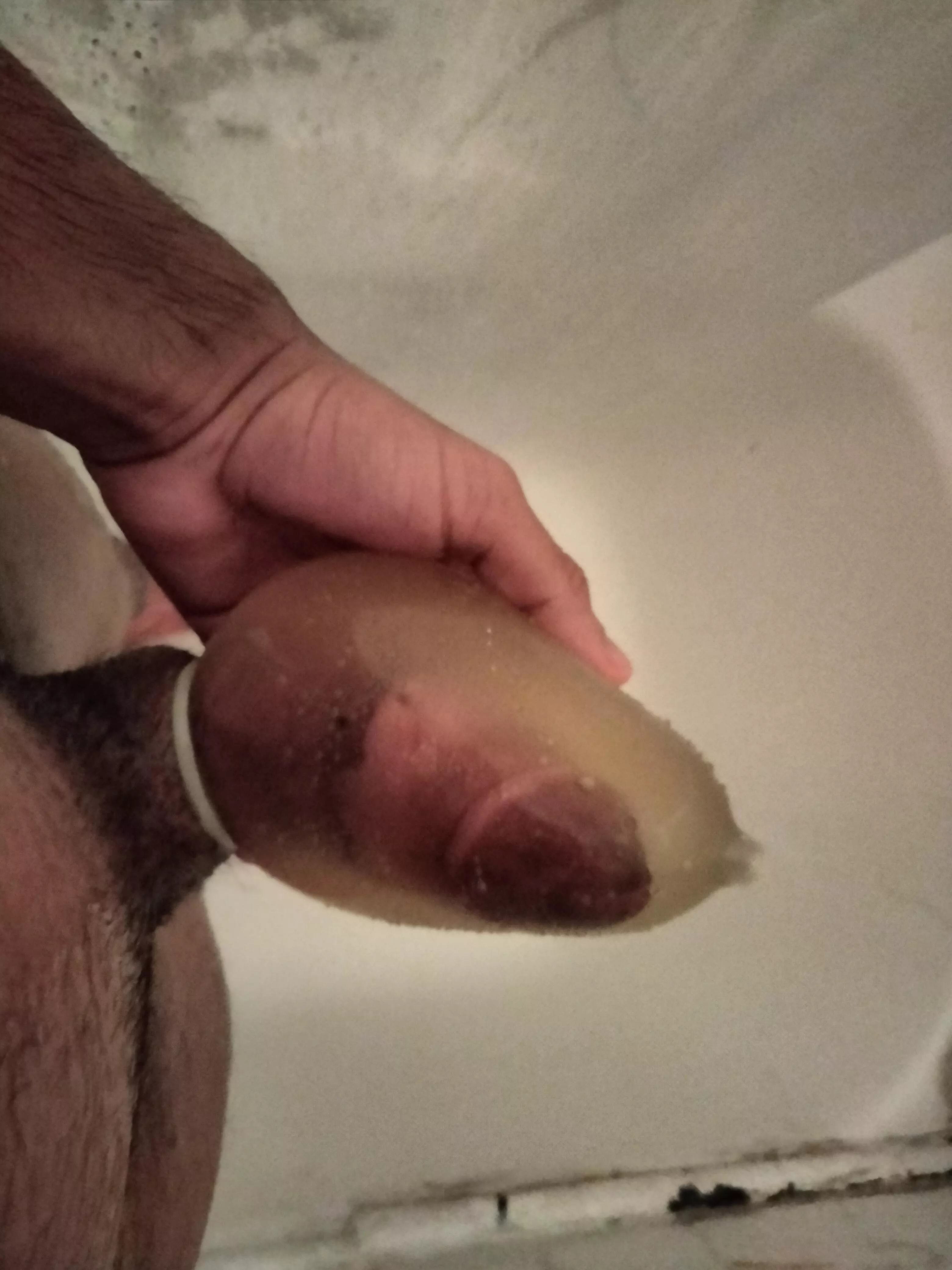 Which would you prefer, a cock full of piss or a condom full of piss~ posted by TheElastiBoy