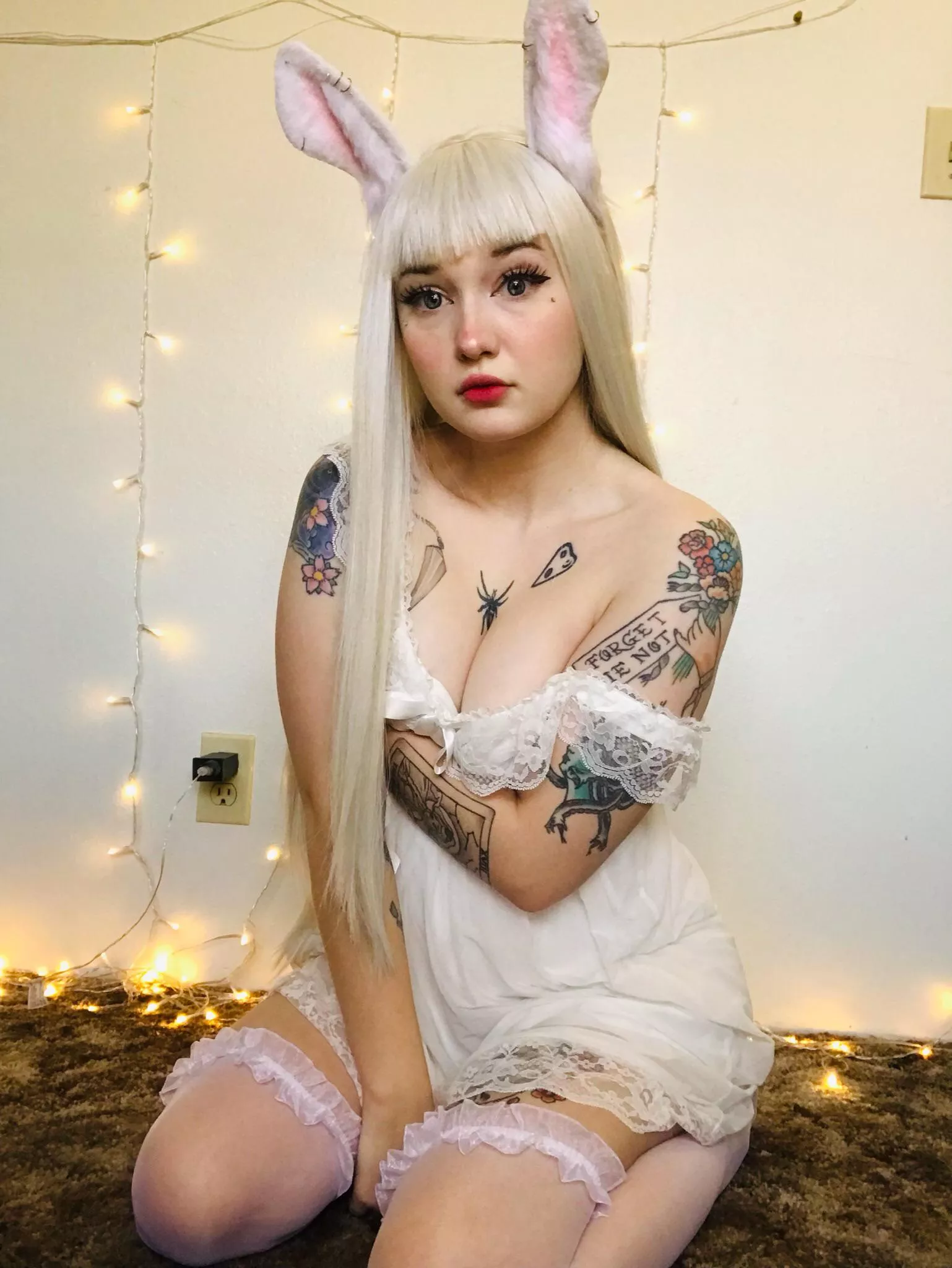 White rabbit posted by Urinternet_waifu