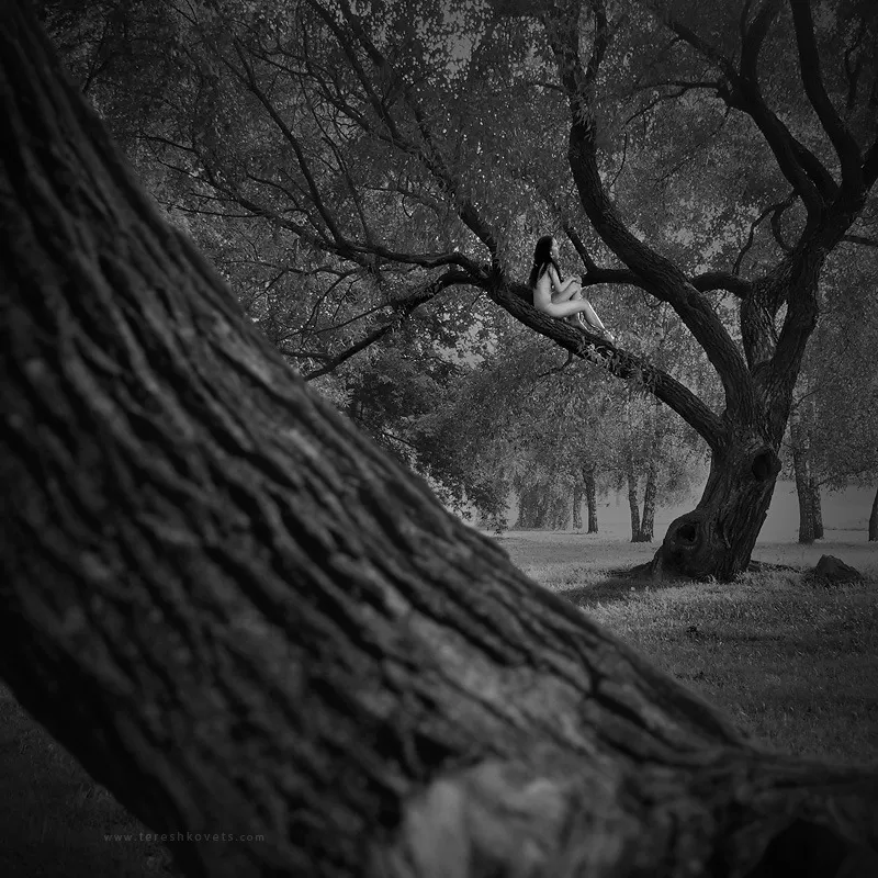 White Silence is a series of photos made ​​by the Belarusian Pavel Tereshkovets. [aic] posted by JuliaSeth