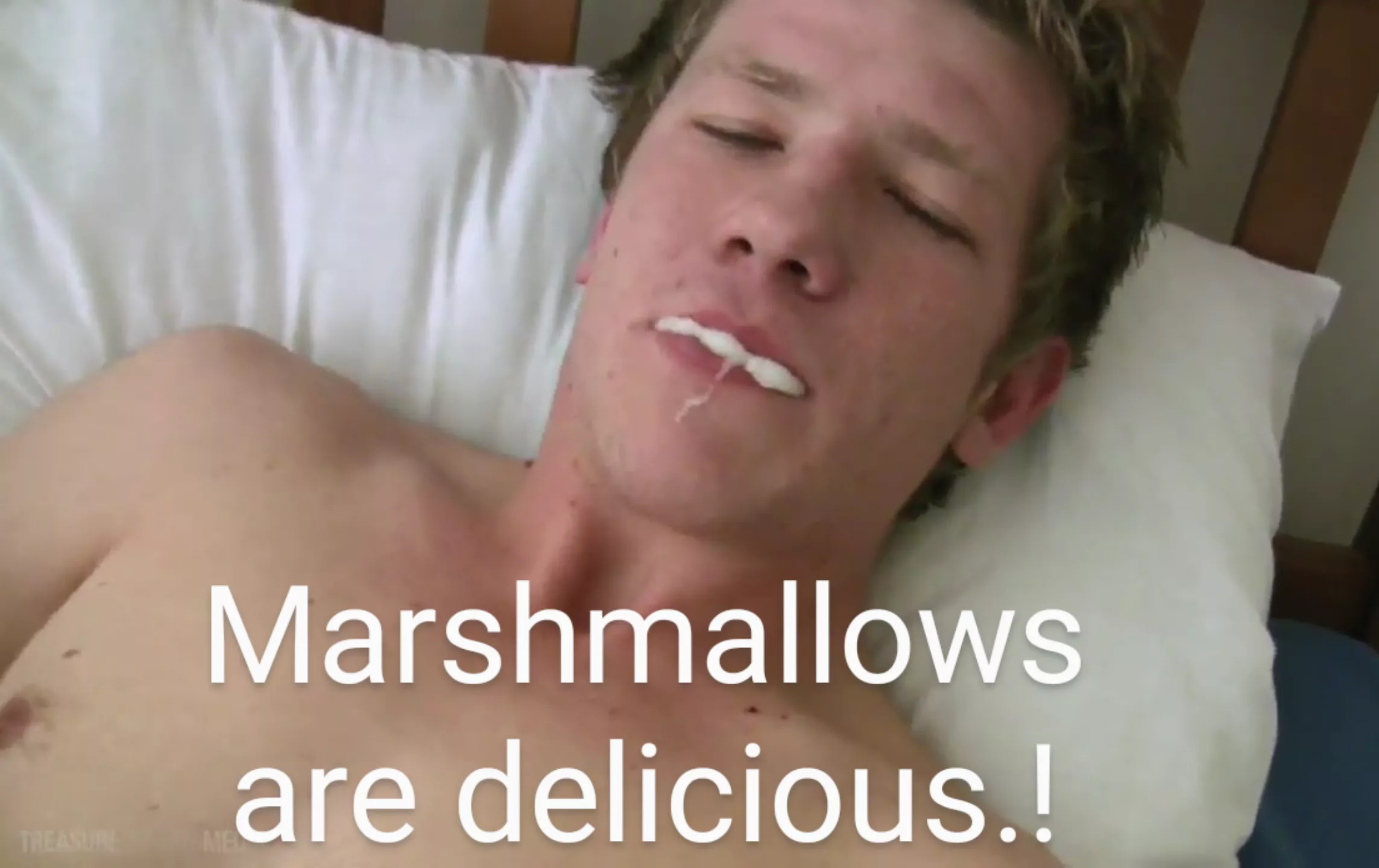 Who doesn't like marshmallows? posted by godlessarmy85