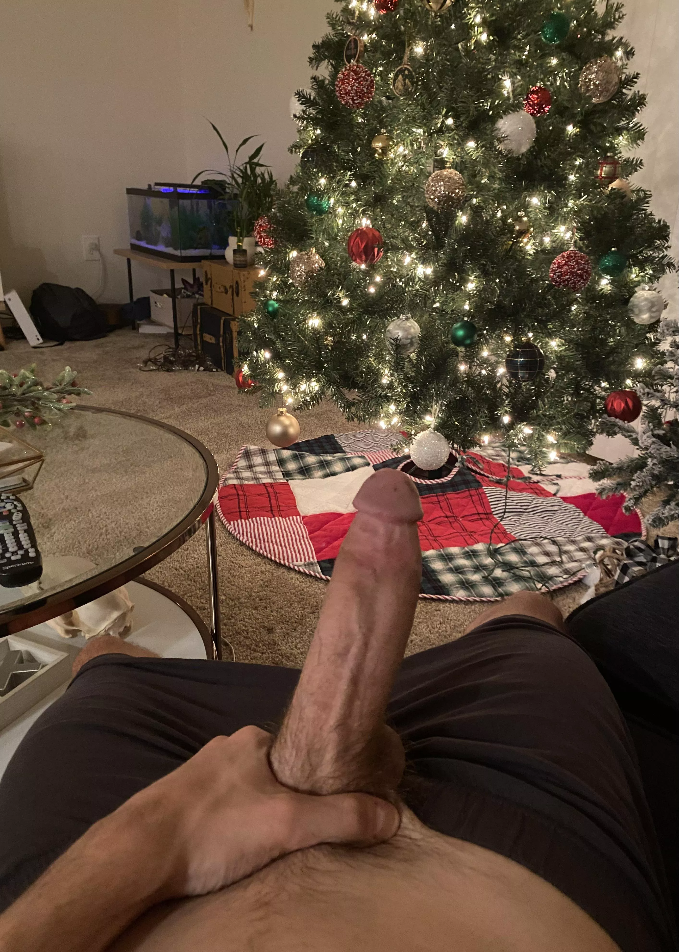 Who else is excited for Christmas already 🍆🎄 posted by A__Wood