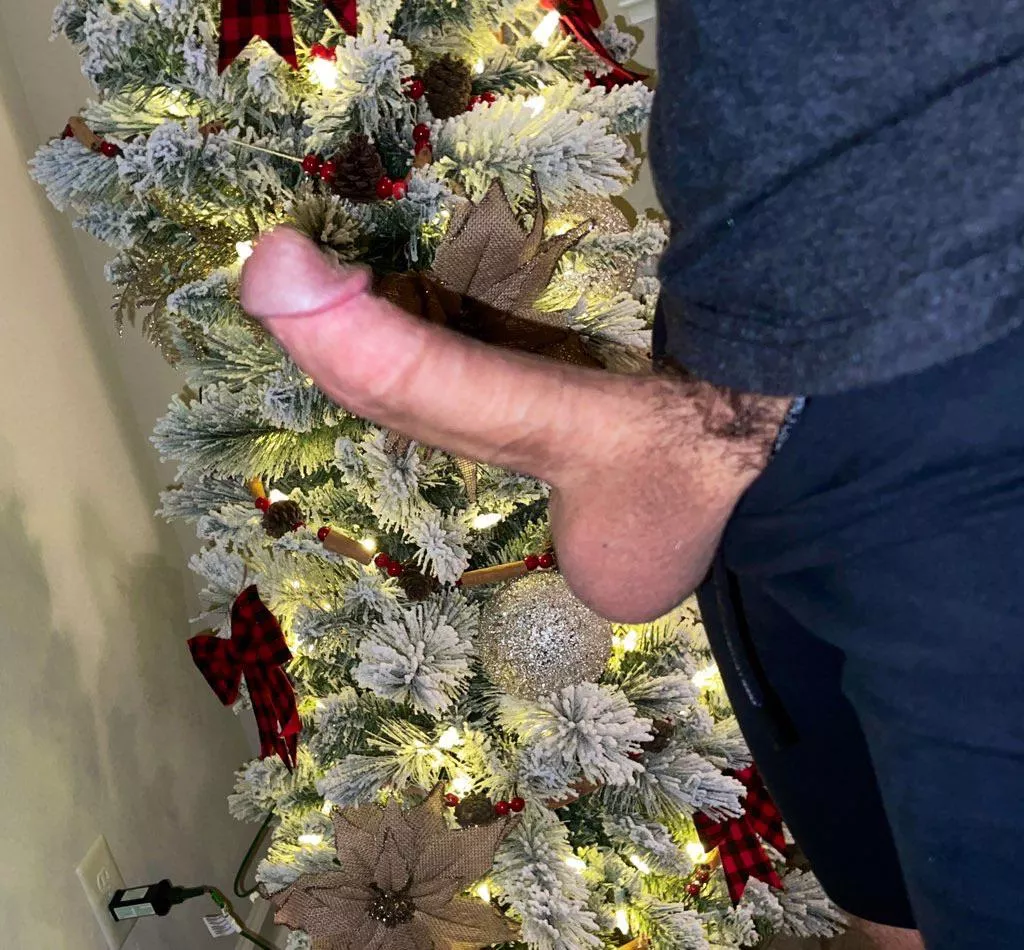 Who elseâ€™s Christmas tree is up already? posted by brunetteboyof