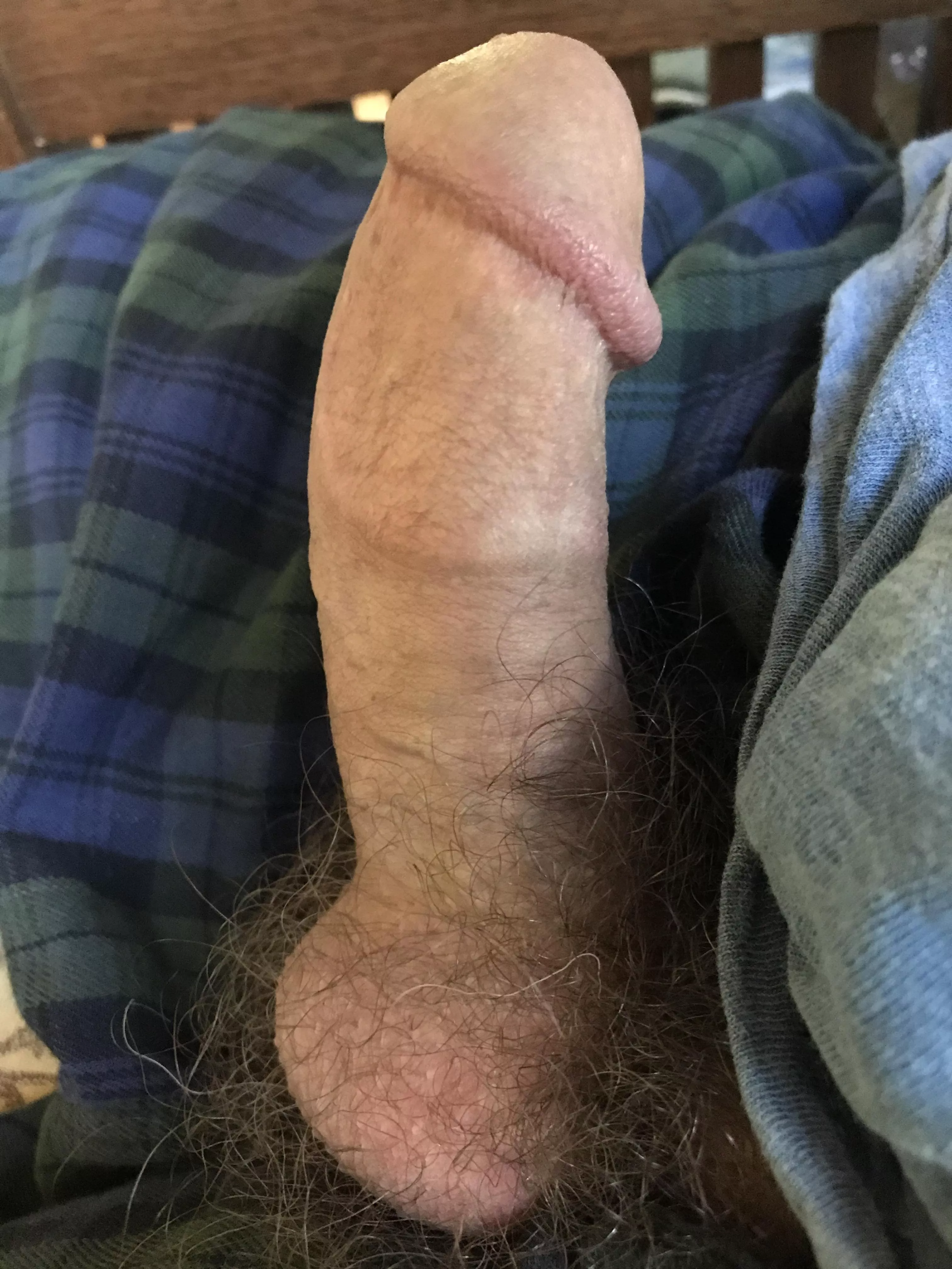 Who likes it thick? posted by hairydad4you