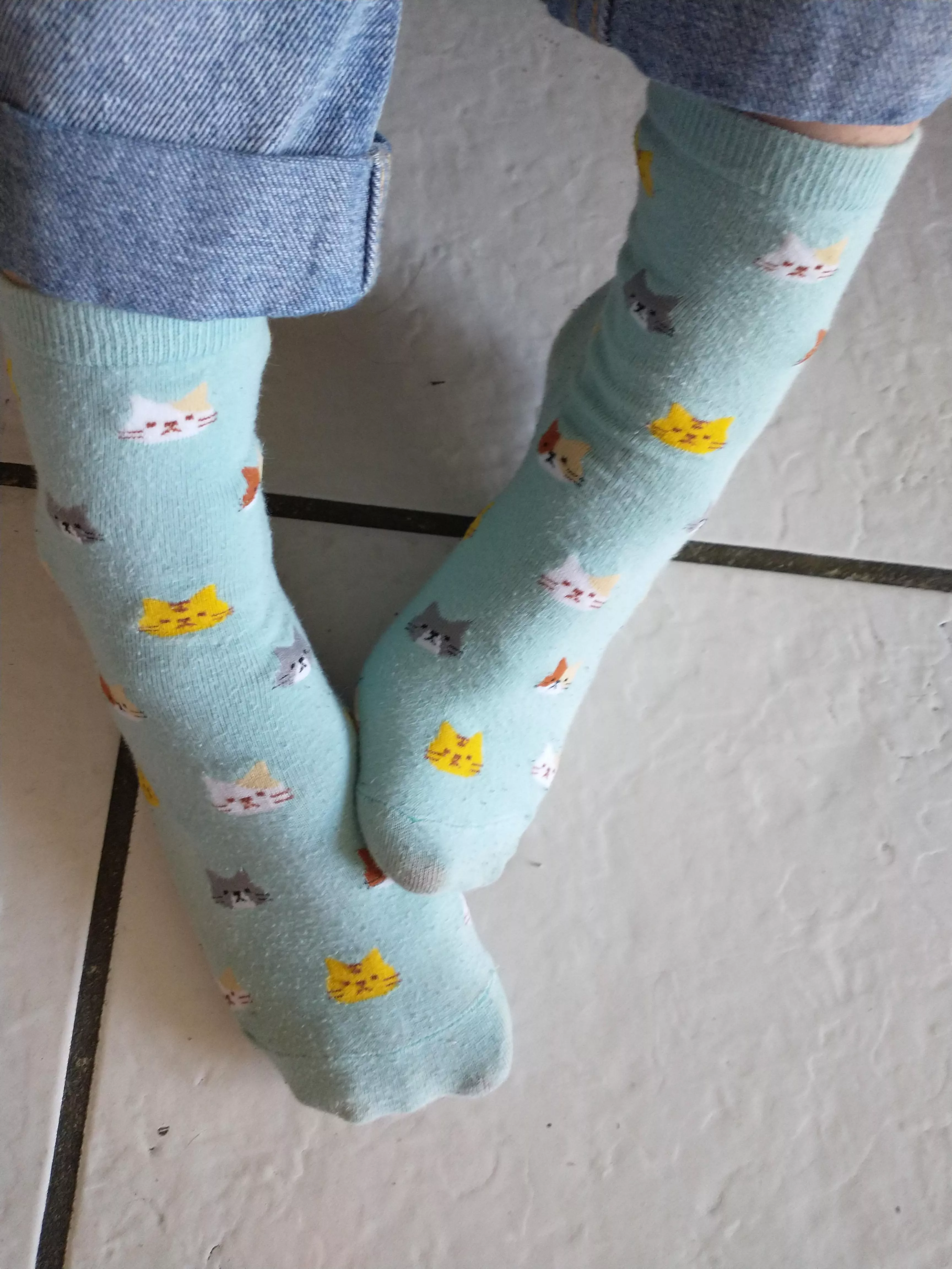 WHO LIKES MY FAVORITE CAT SOCKS posted by Imaginary-Throat-315