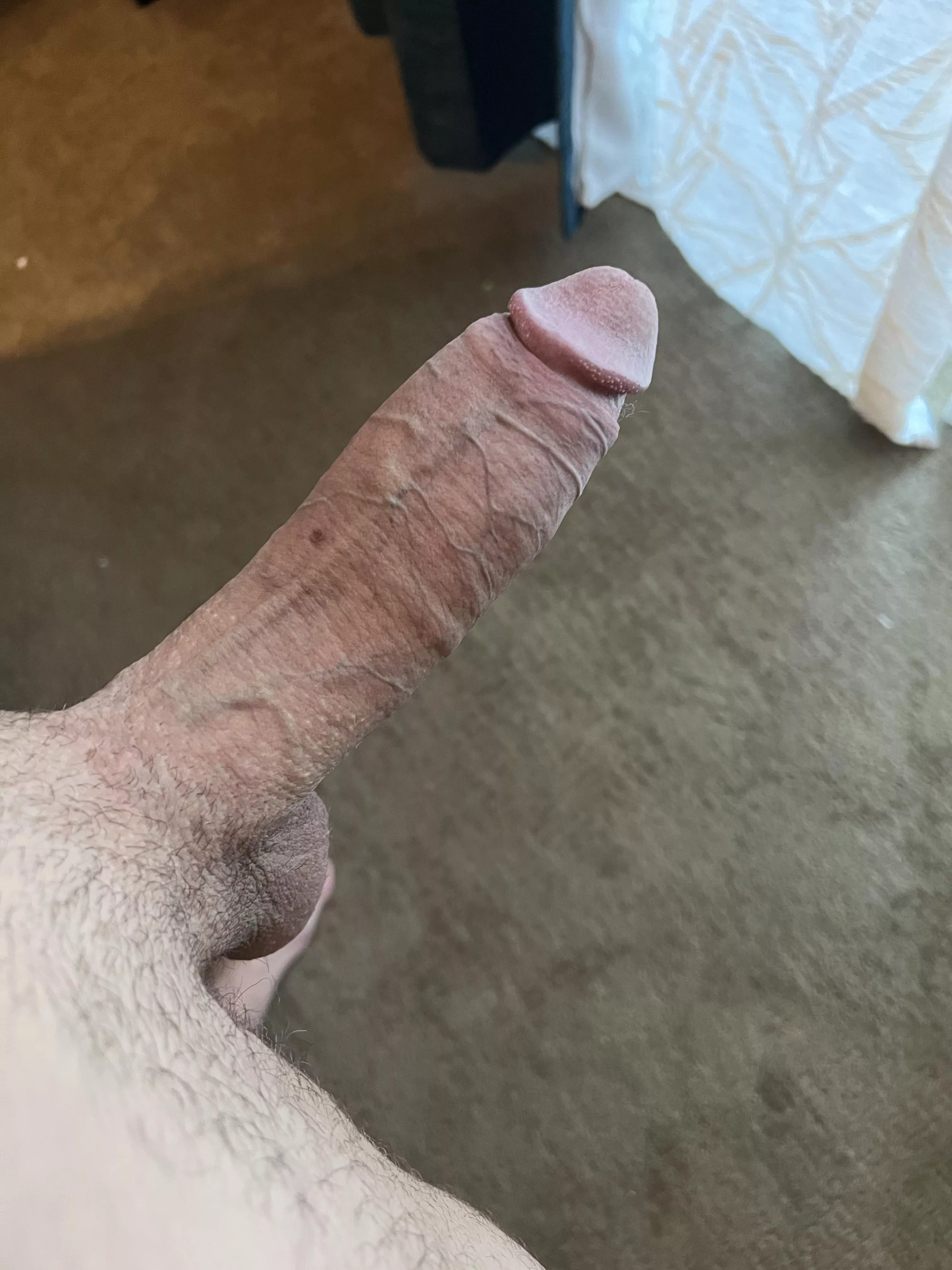 Who thinks they can handle this girth? 😈 posted by cavallinotwink