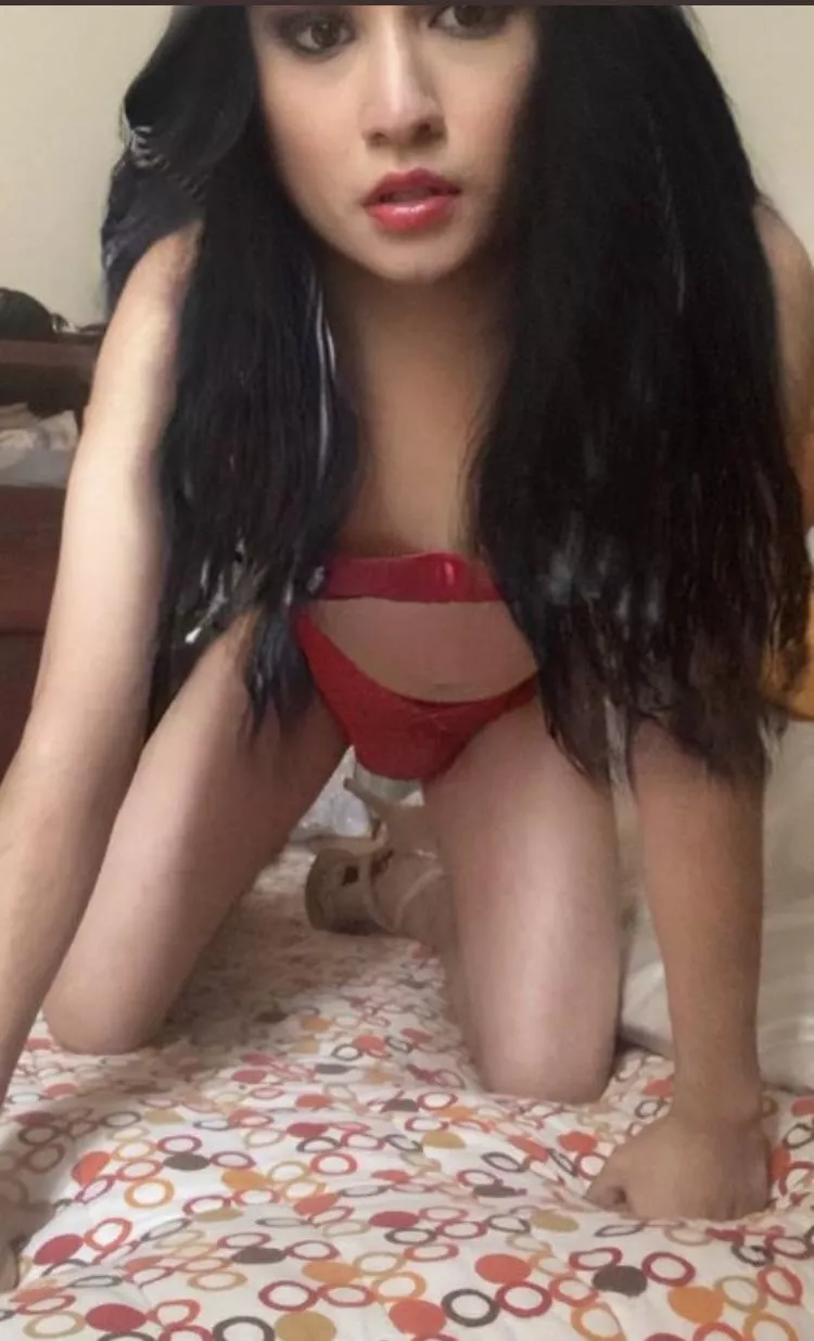 who wants a mexican sissy slut?❤️ posted by Every-Technician5575