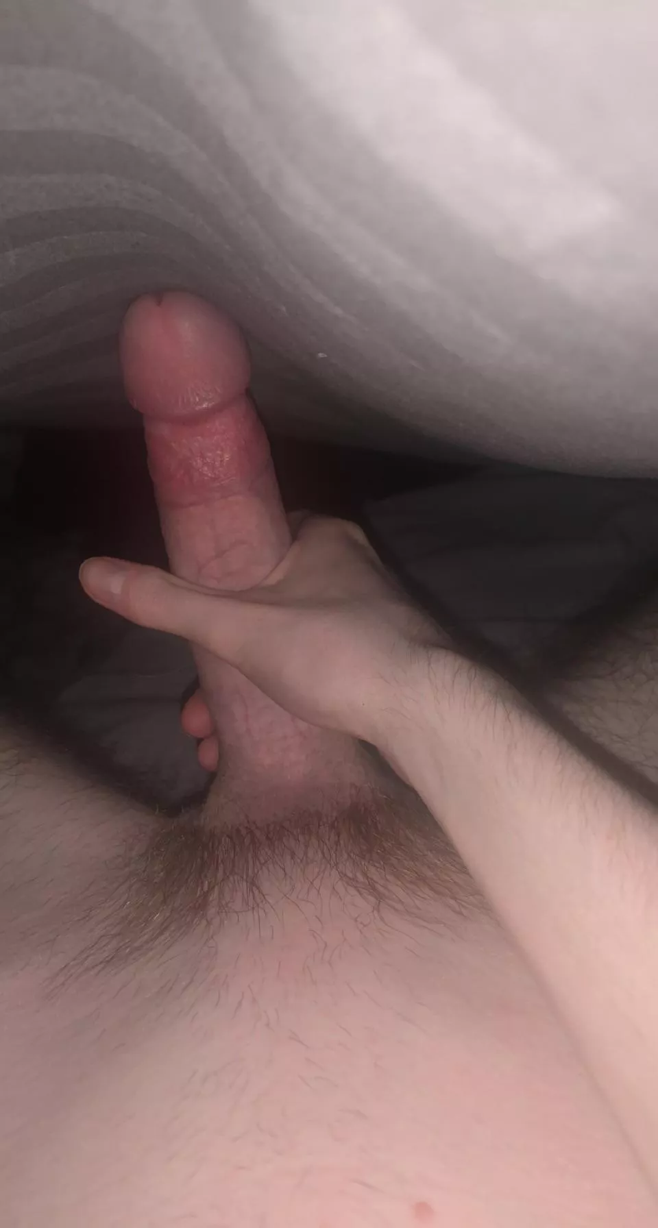 who wants to come under the covers with my 18 year old cock? posted by FB151102