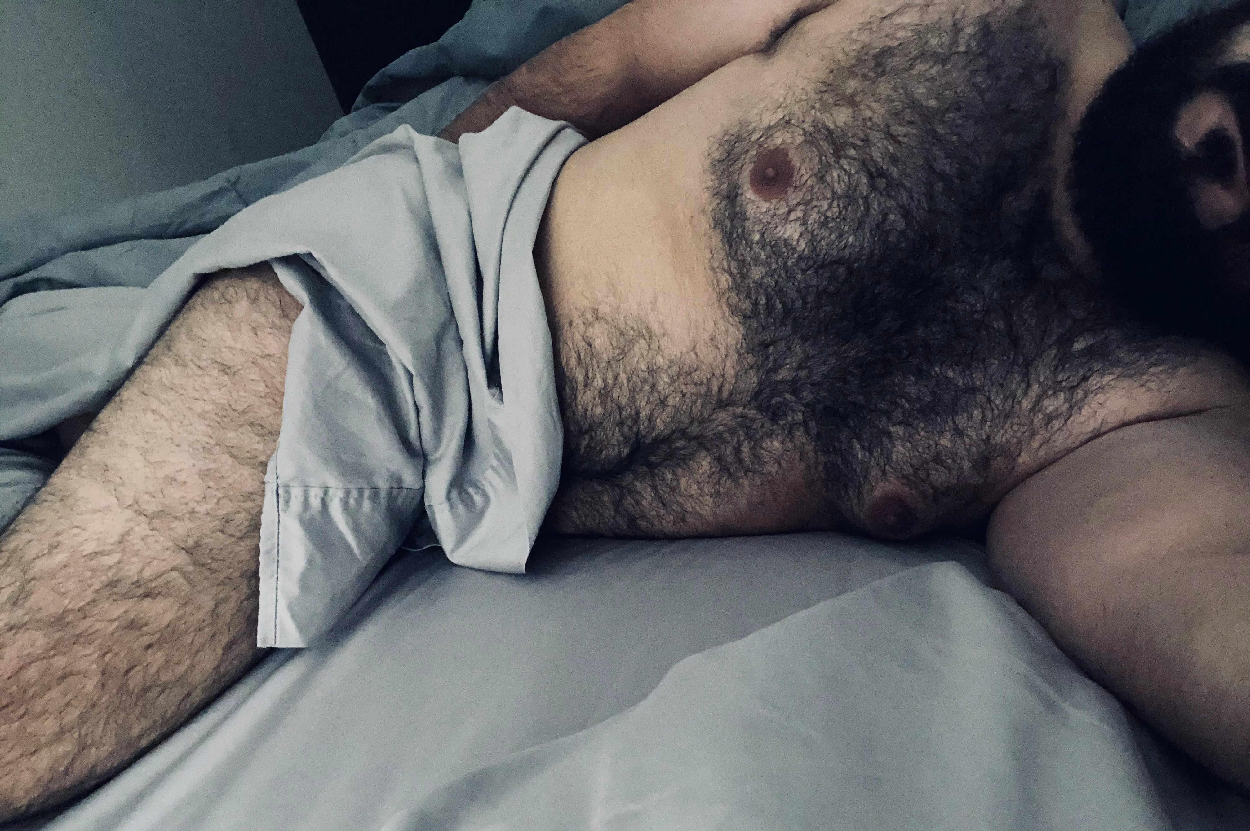 Who wants to cuddle? posted by hirsutebear