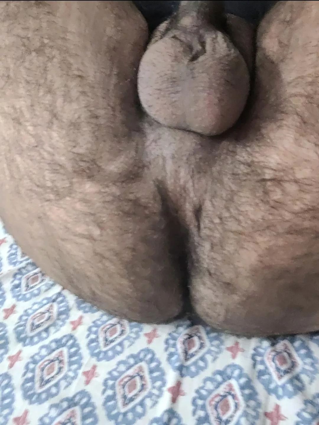 Who wants to eat out my hairy ass? 😈 posted by Limitless_Fun103