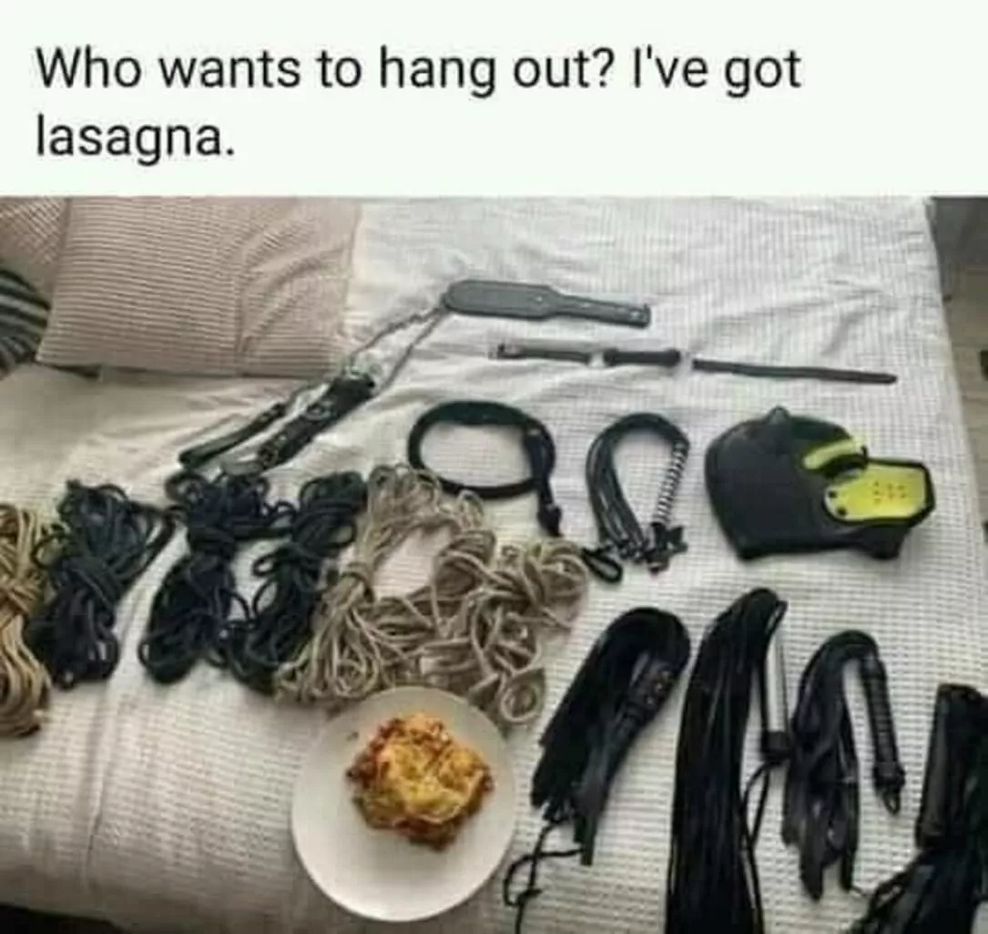 Who wants to hang out? I have got lasagna! posted by niteag