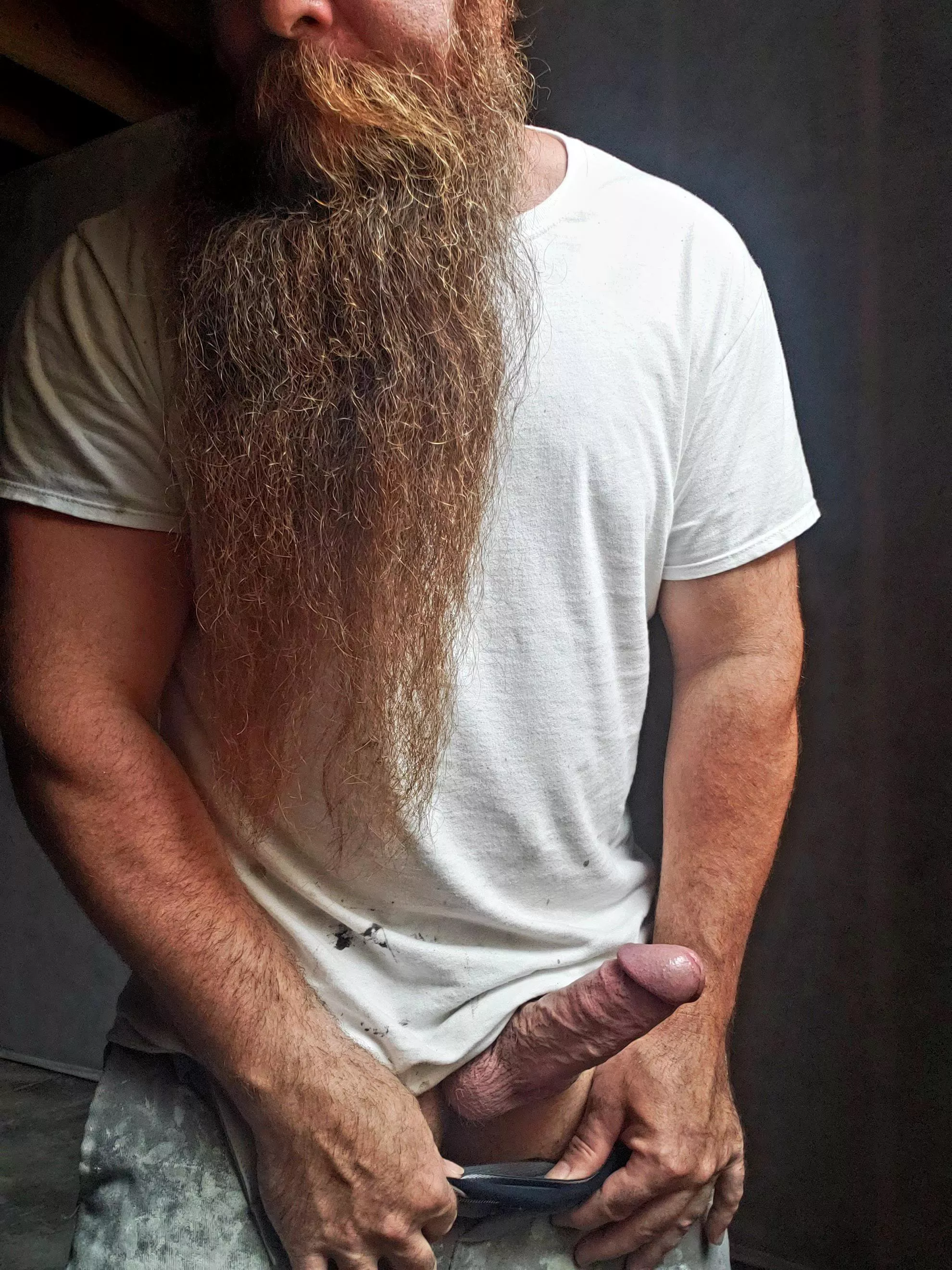 Who wants to help me finish this off? posted by GetMyBeardWet