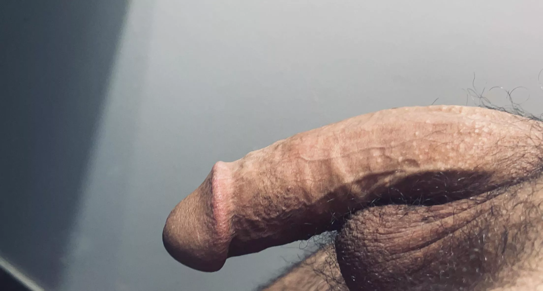 Who wants to ride it? (m) posted by Beautiful_Gap8639