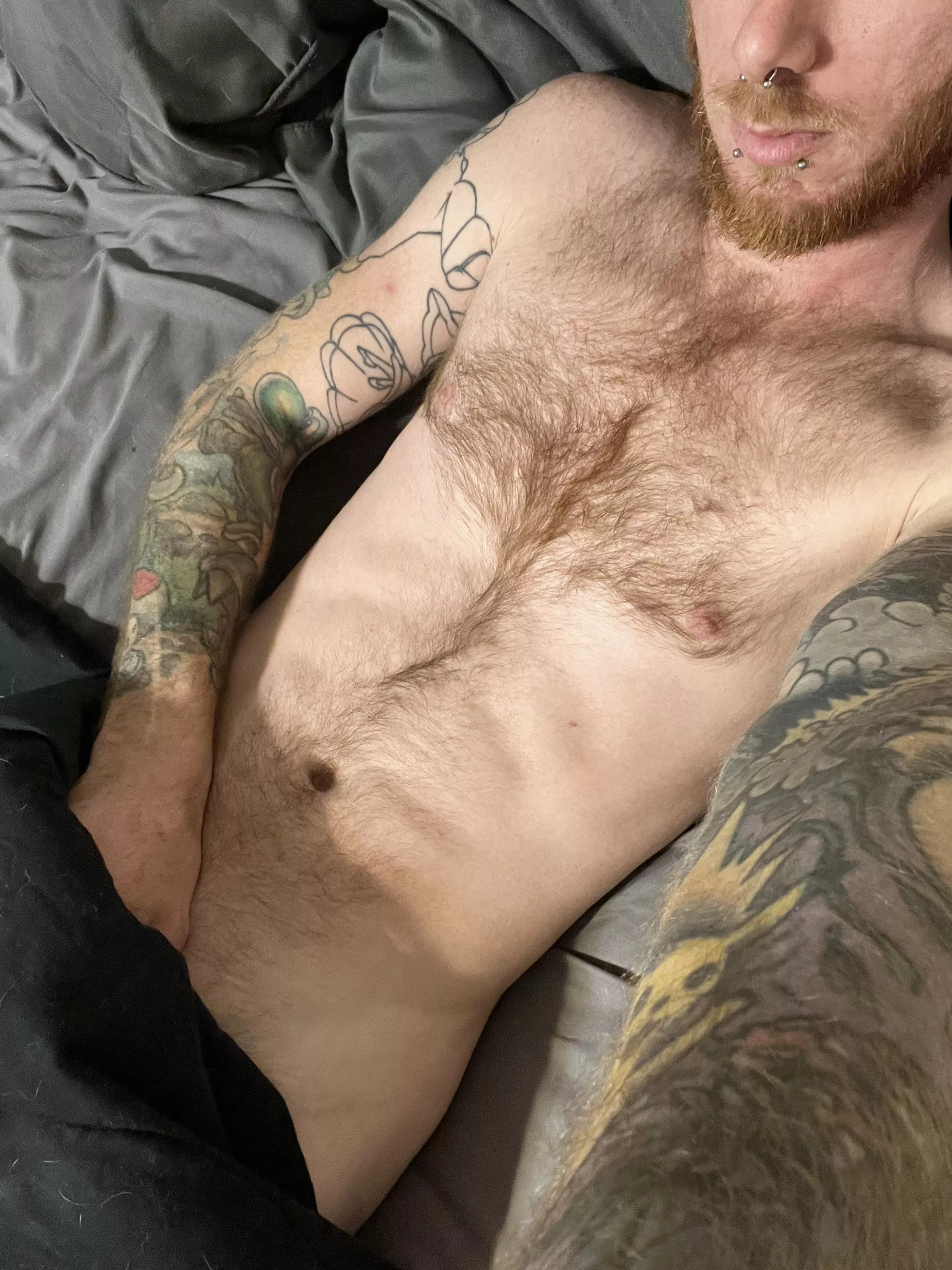 Who wants to stay in bed today? posted by cmurdax