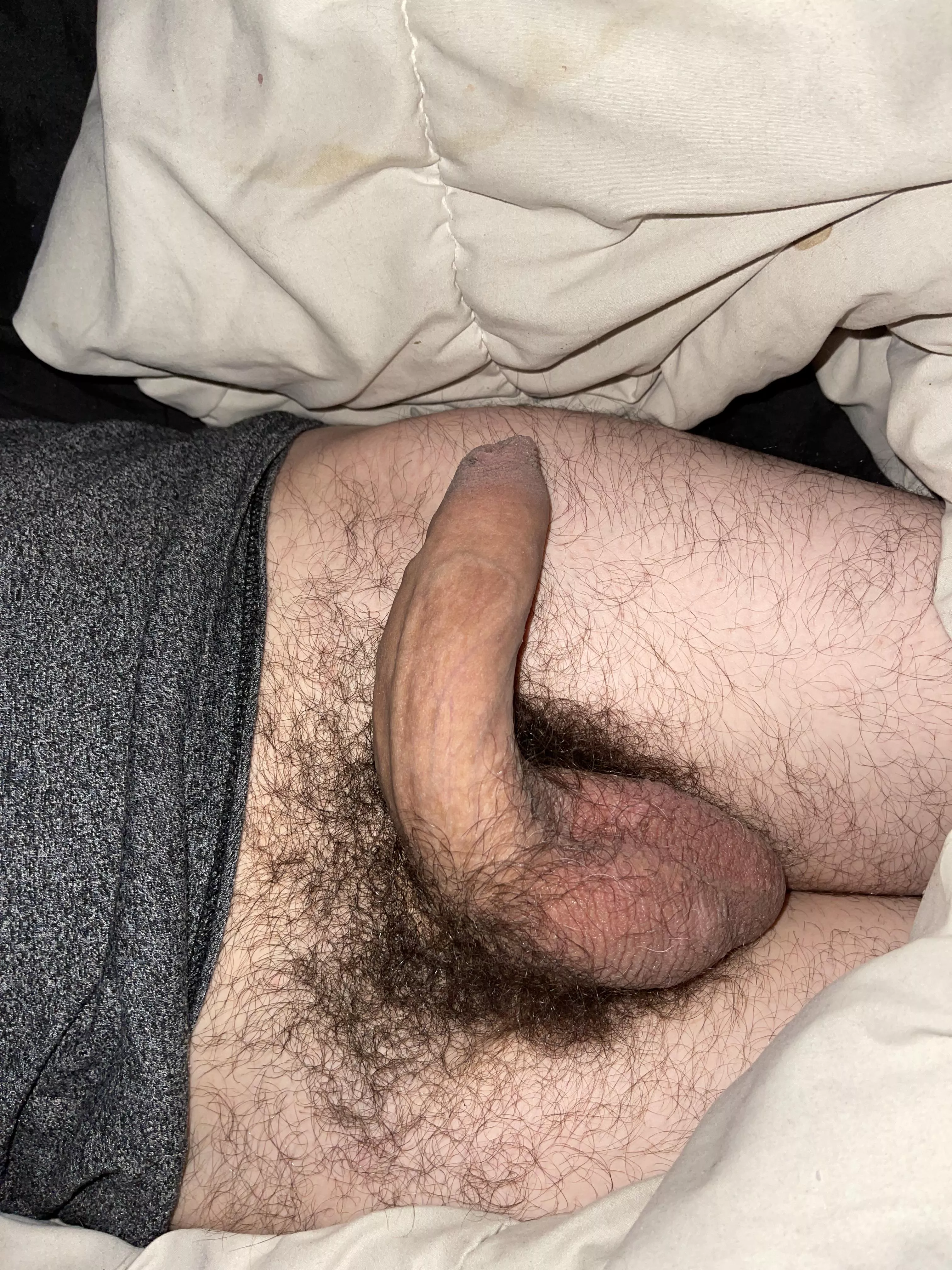 Who wants to suck me hard posted by cook12022