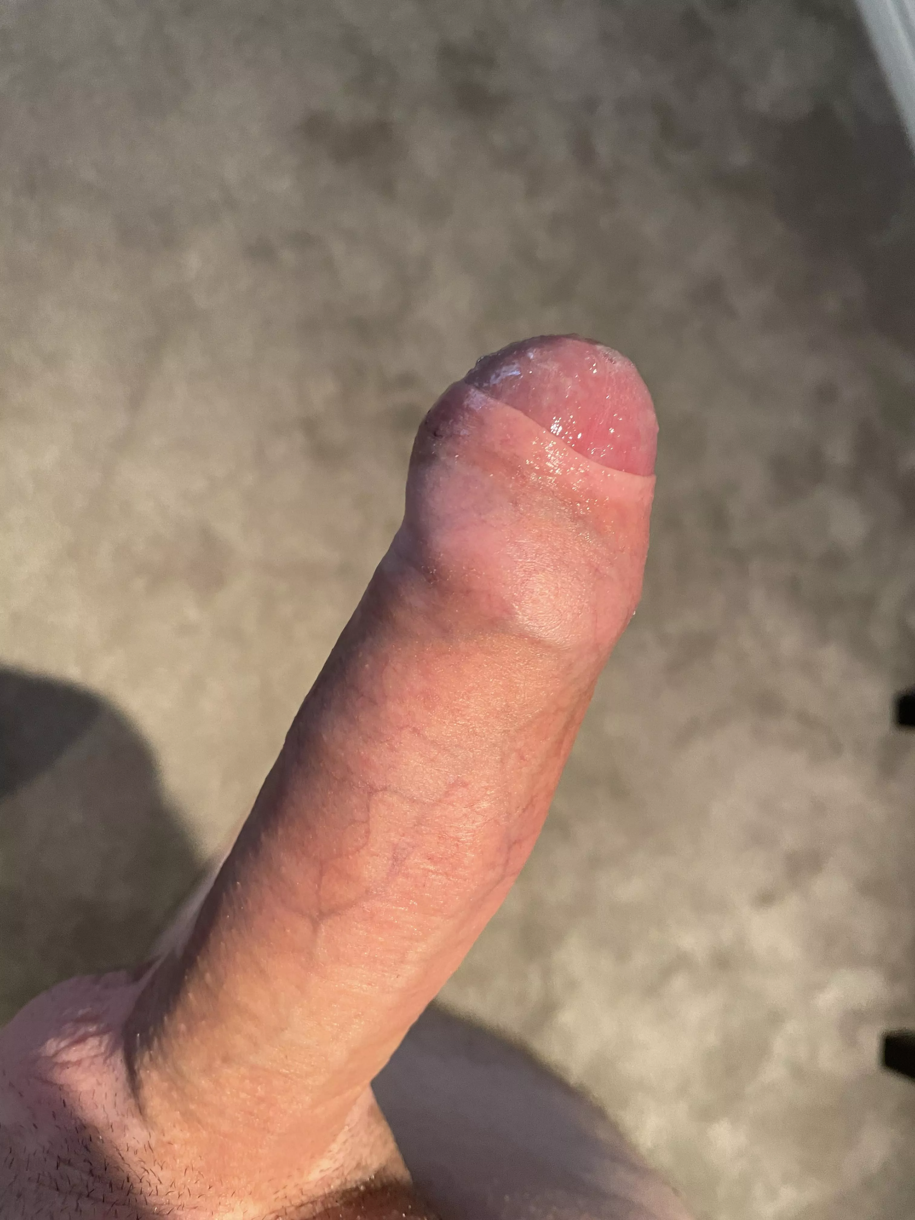 Who wants to taste the pre cum? posted by imopen-mindedashell